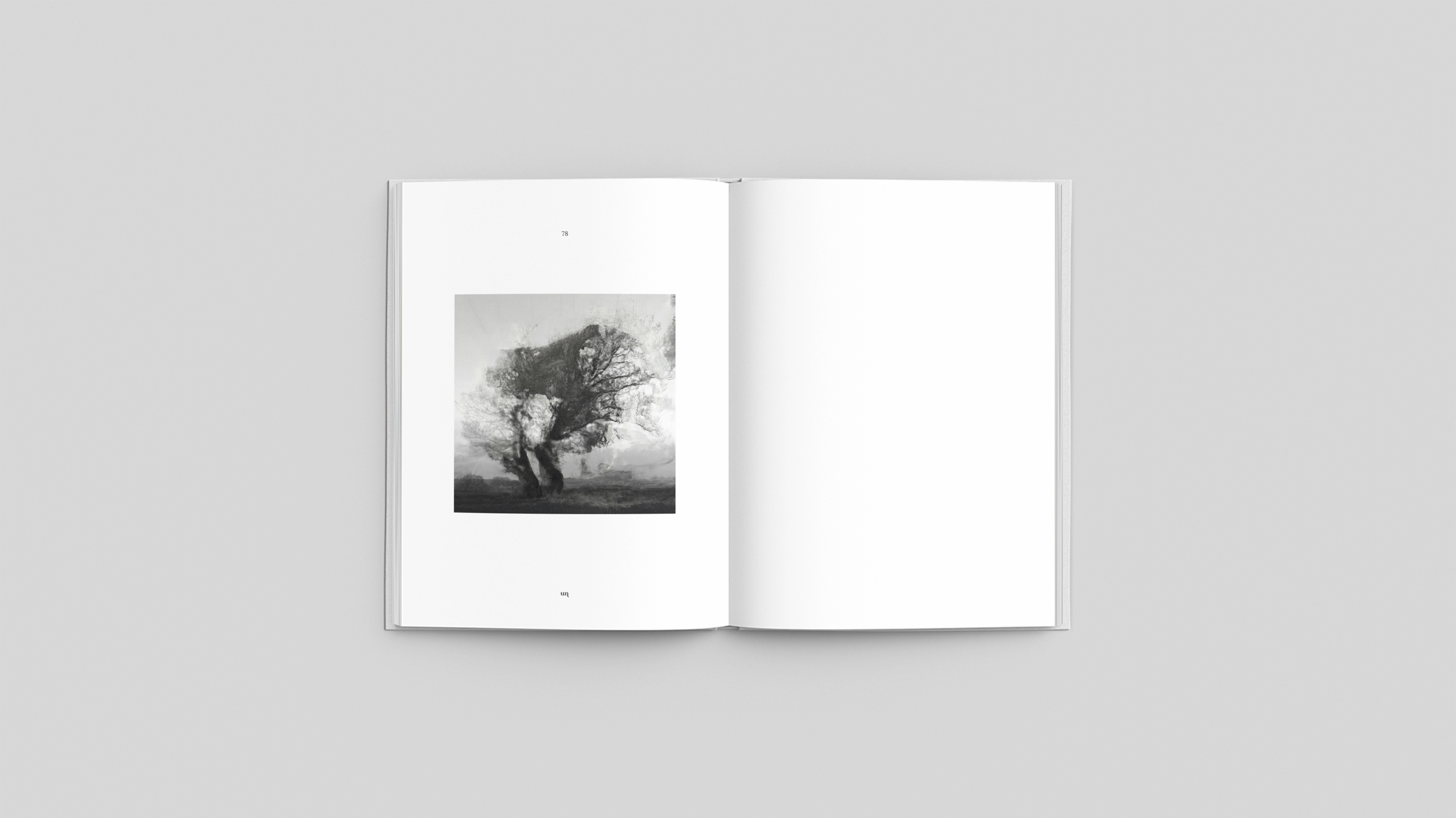Time Fossils by Michael C Coldwell - Ghosts in the Archive photobook