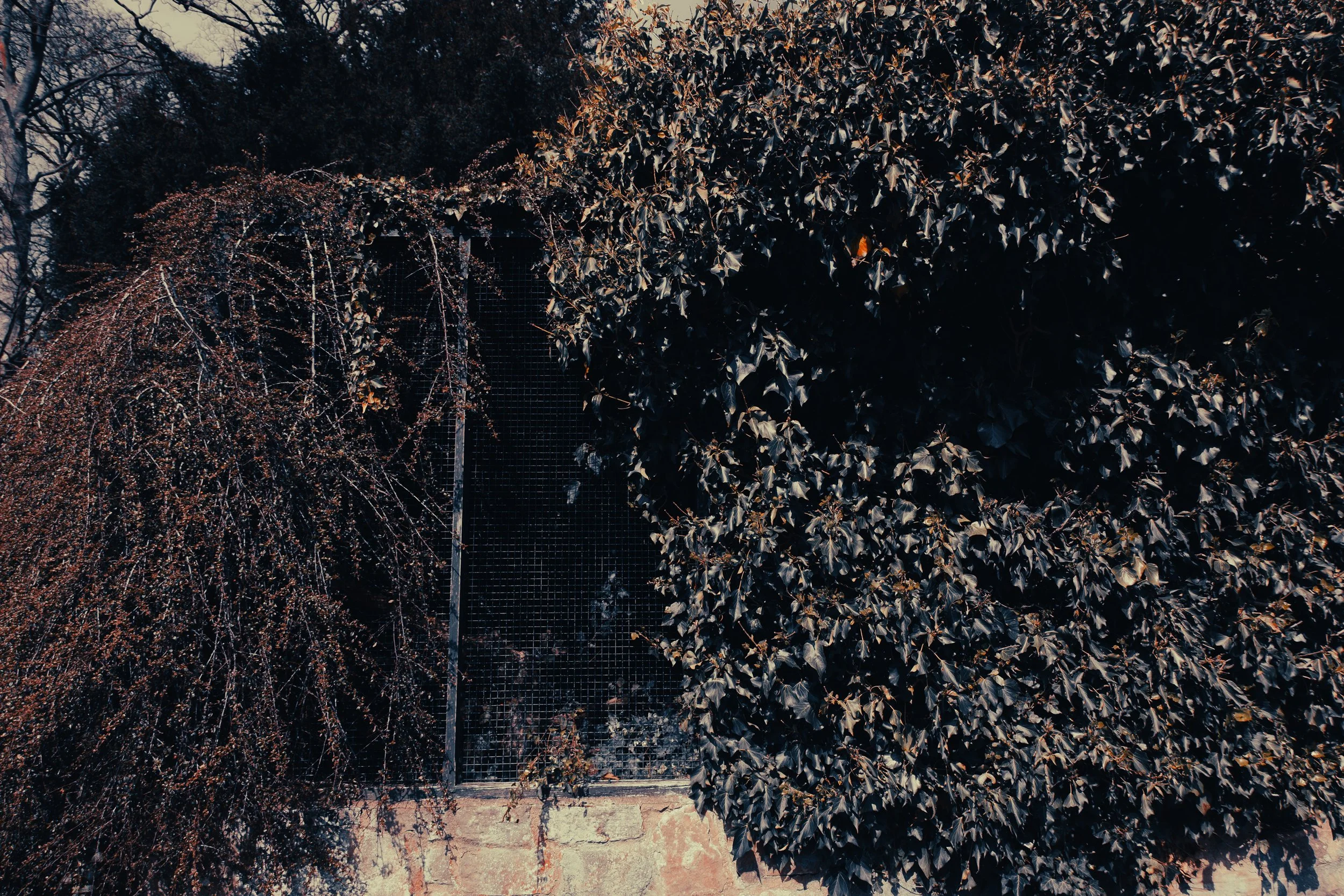 B62A6549.jpg