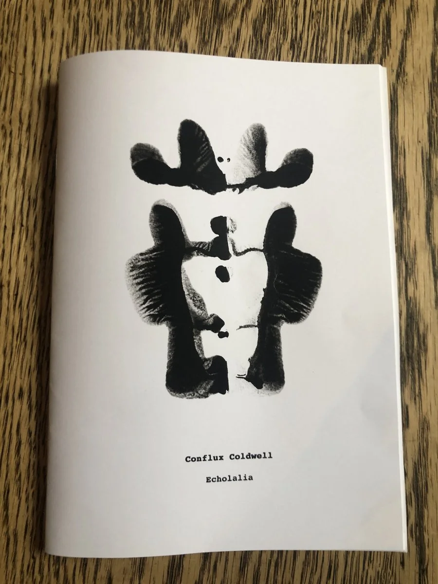 Echolalia booklet