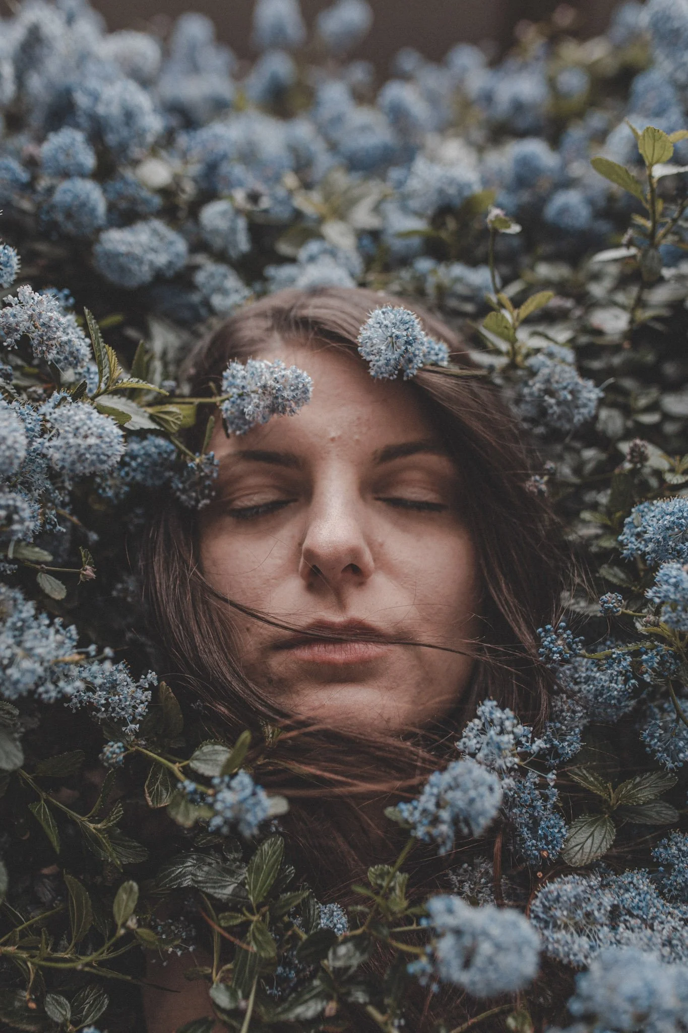 Portrait of a girl in between blue flowers