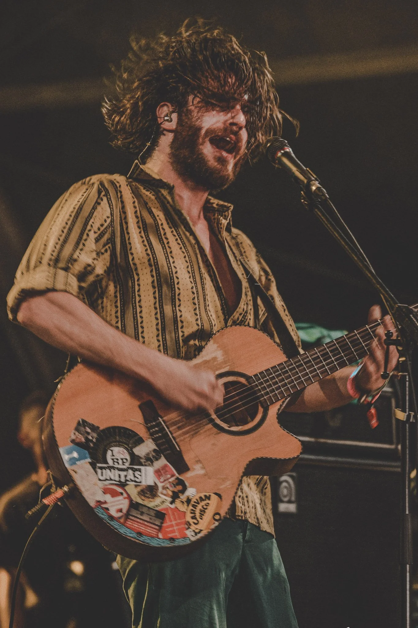 Lead singer on Stage at Electric Castle, Cluj, Romania