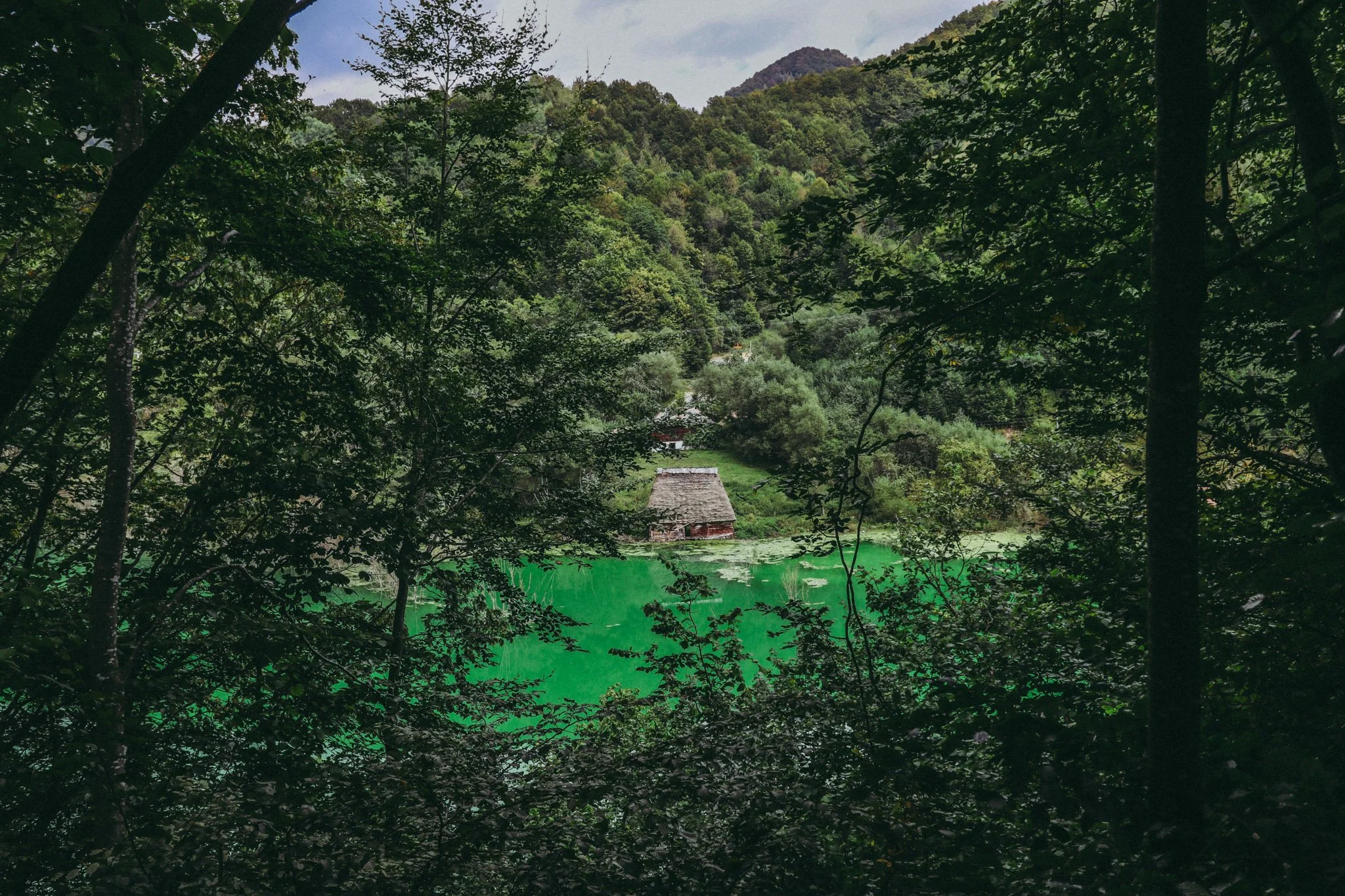 Roșia Montană, Alba, Romania