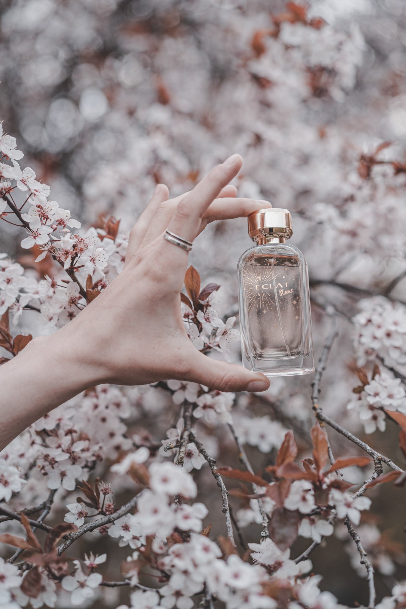 Outdoor product photography of a perfume bottle with a pink tree as a background