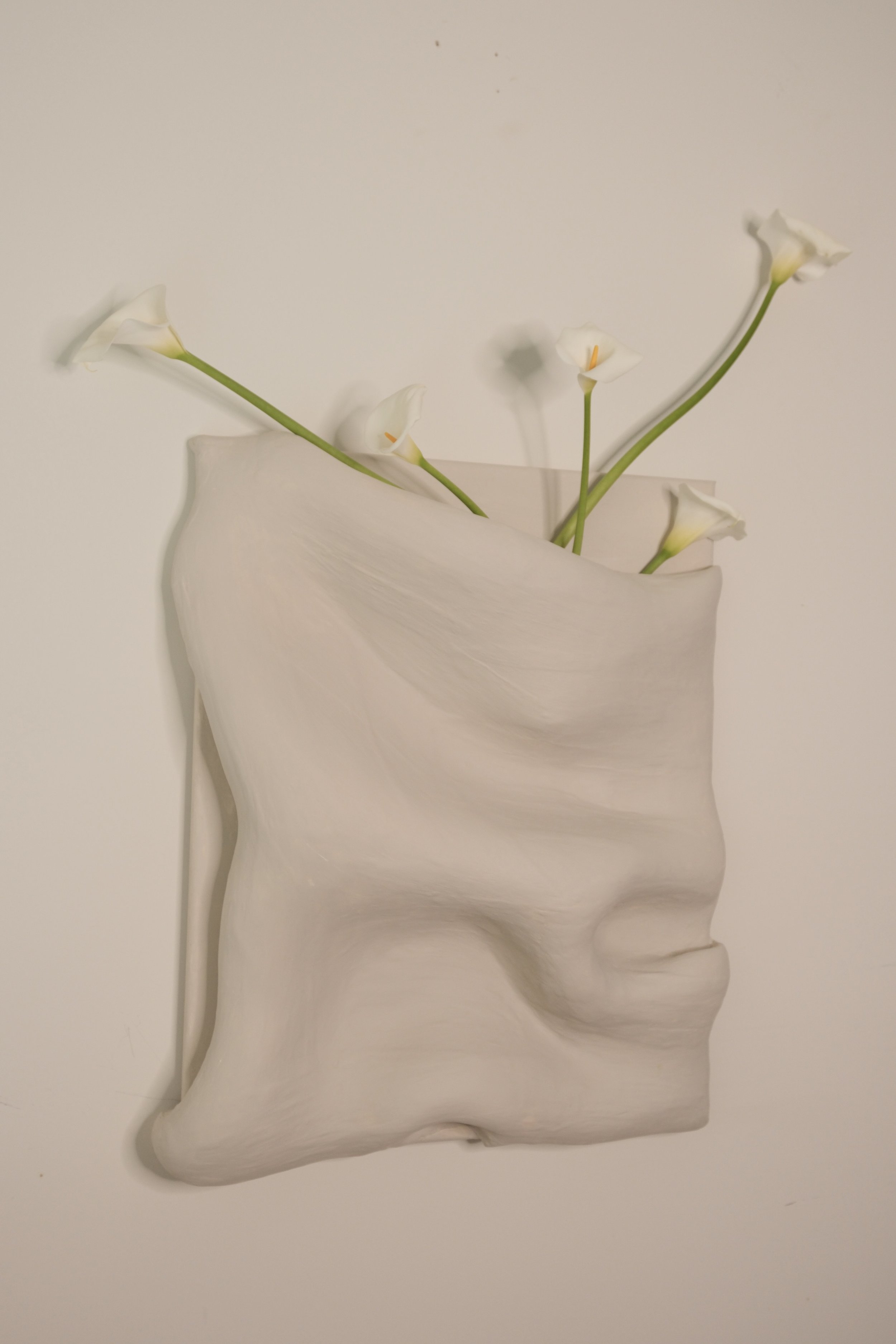 DSCF6480.jpg