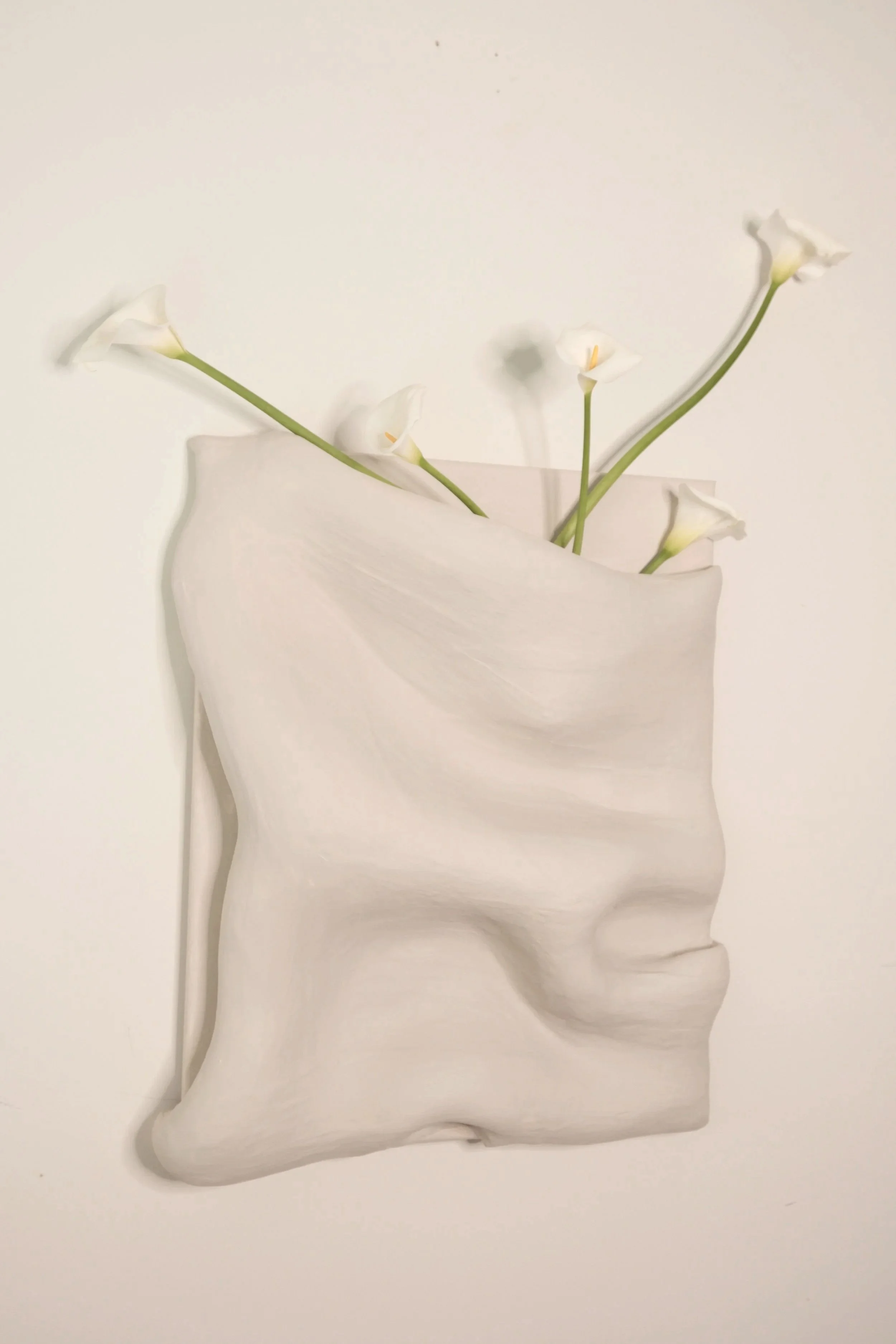 DSCF6480.jpg