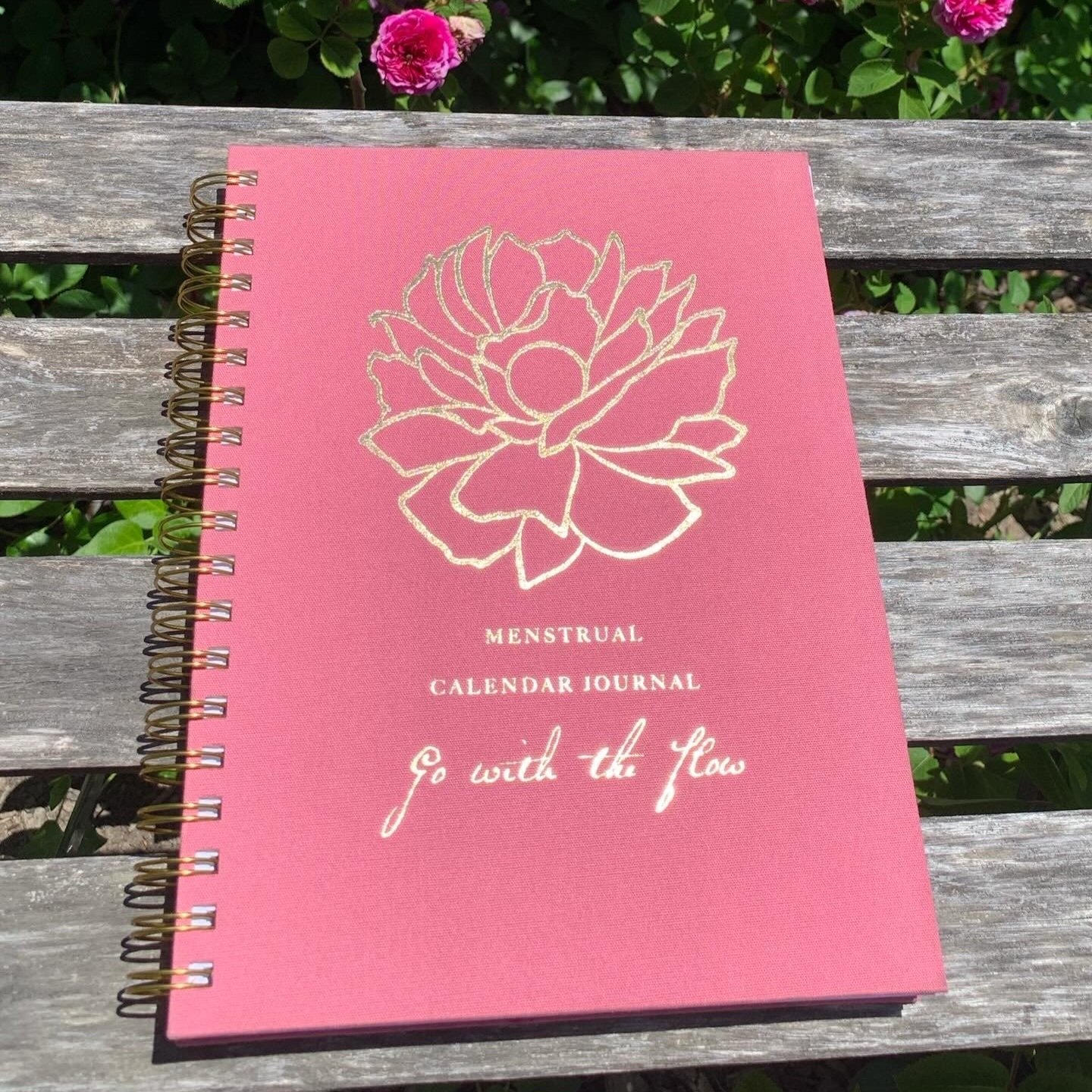 Menstrual Calendar Journal Illustration and Graphic Design Anna Friedland