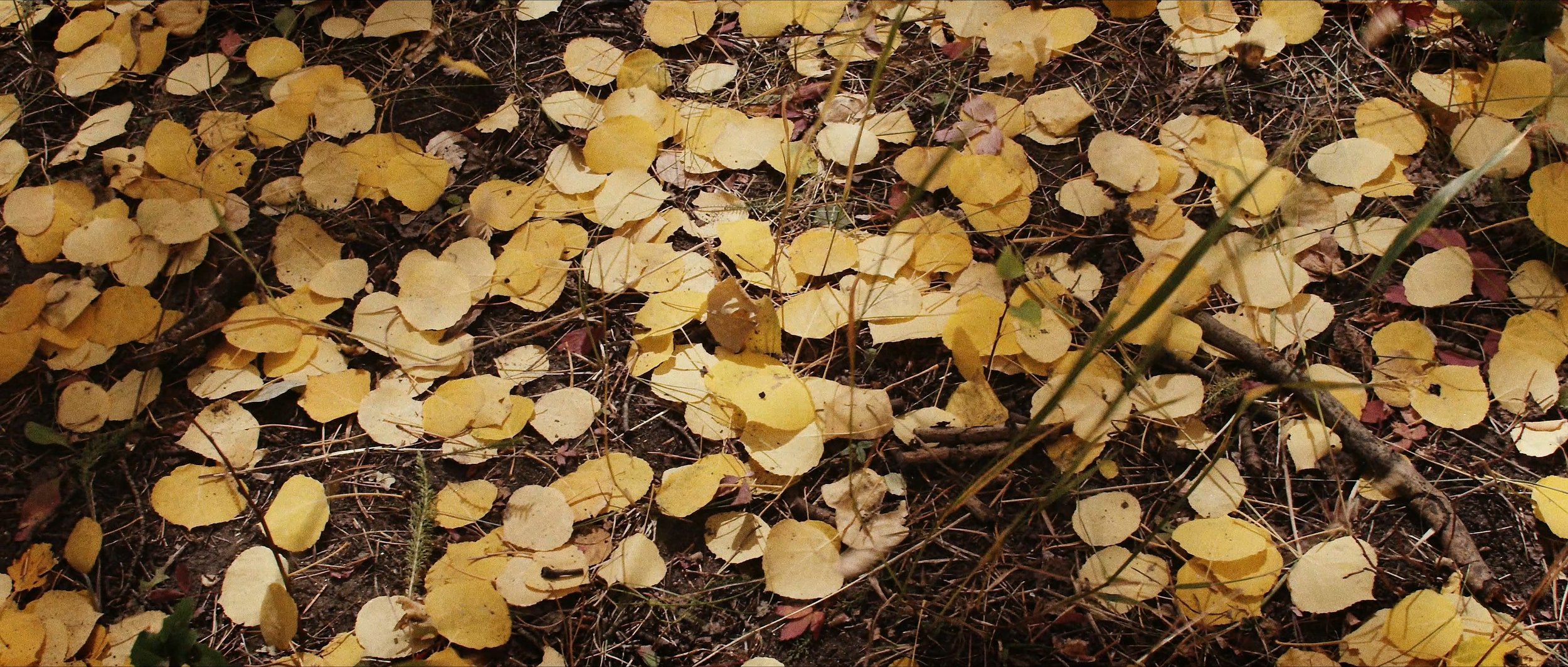 Rocky Mountain National Park — Evan Schneider