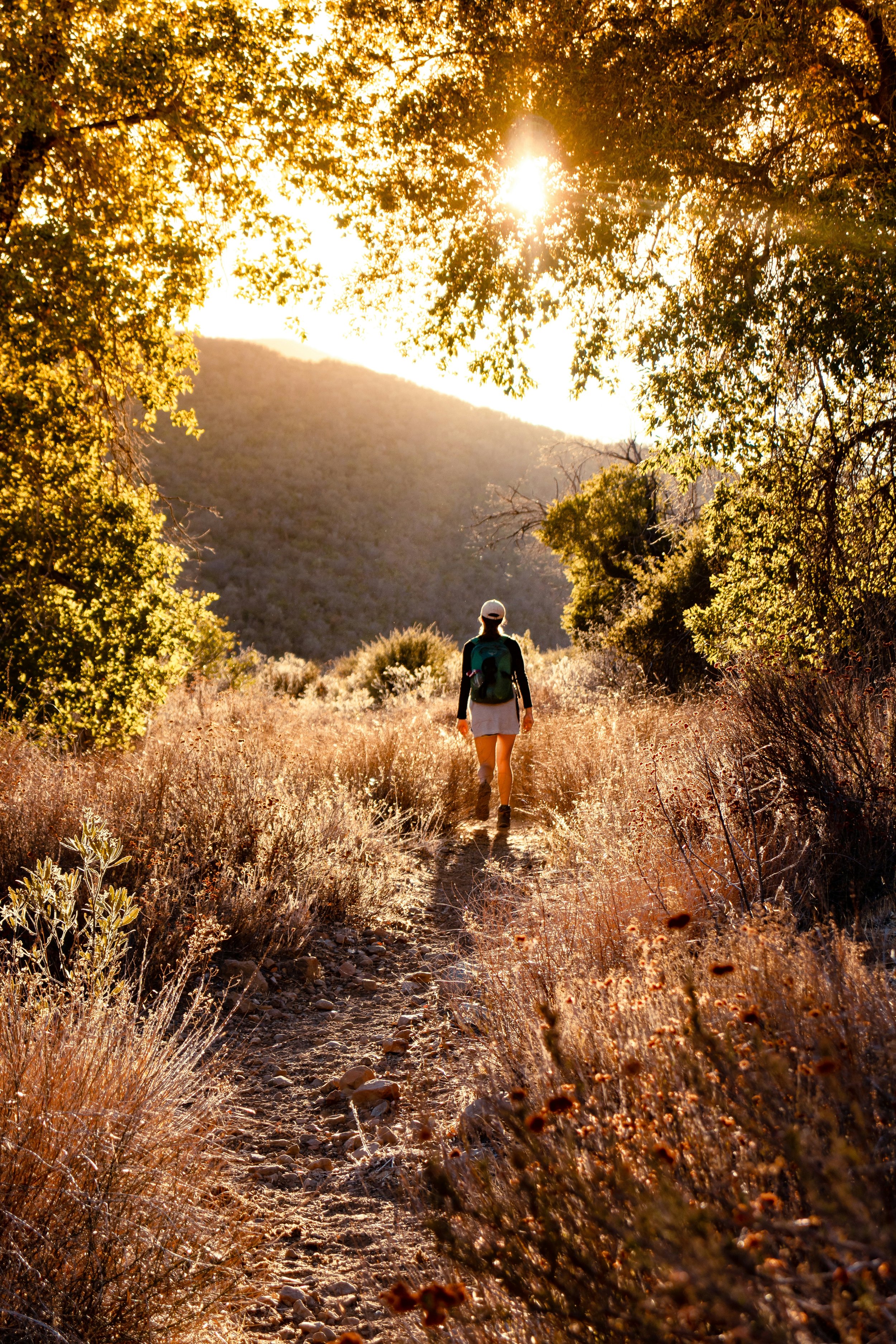 Person hiking on a trail through dry vegetation with sunlit trees and a mountain in the background.