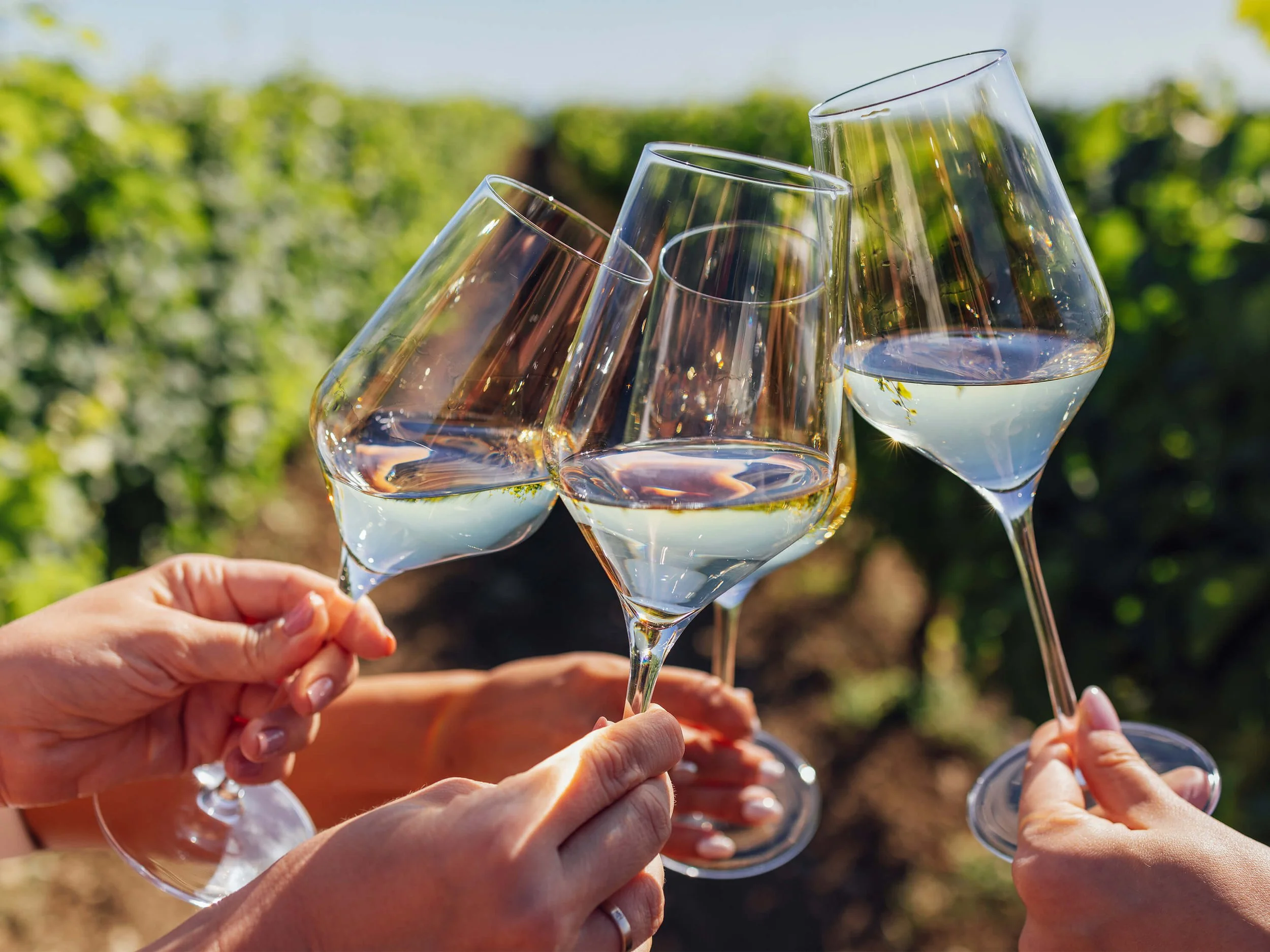 St. Patrick’s Day in Carmel-by-the-Sea: Celebrate with Wine, Walks &amp; Coastal Charm