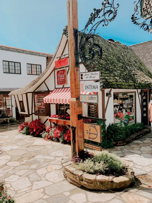 Carmel - Serendipity