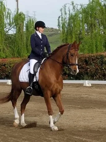 Combination Test: Dressage and Jump
