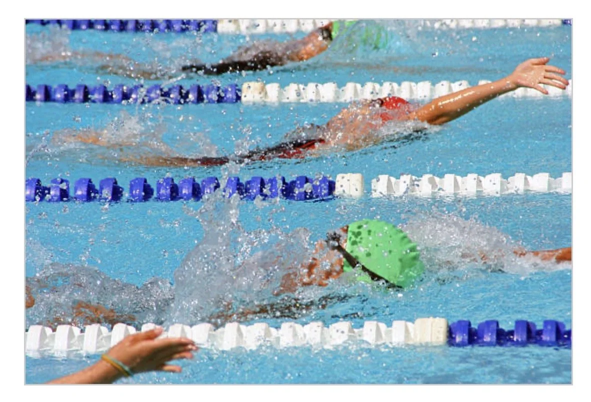 Annual Walnut Creek Swim Conference (WCSC) Conference Meet