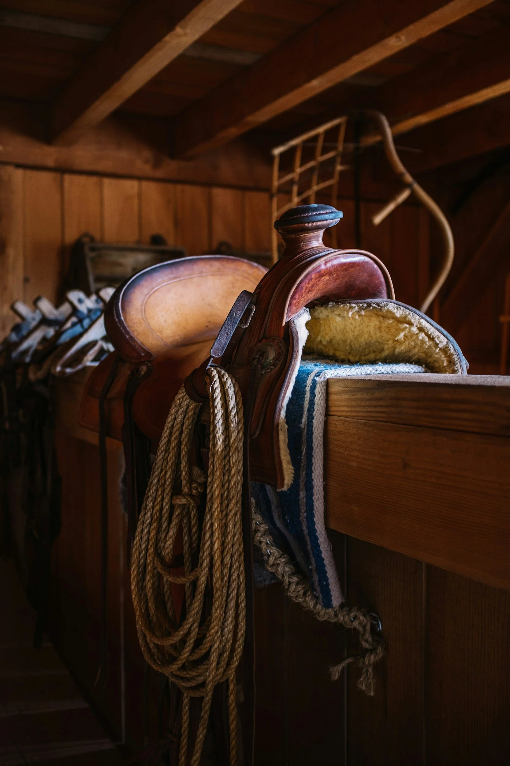 Tack Swap with California Dressage Society