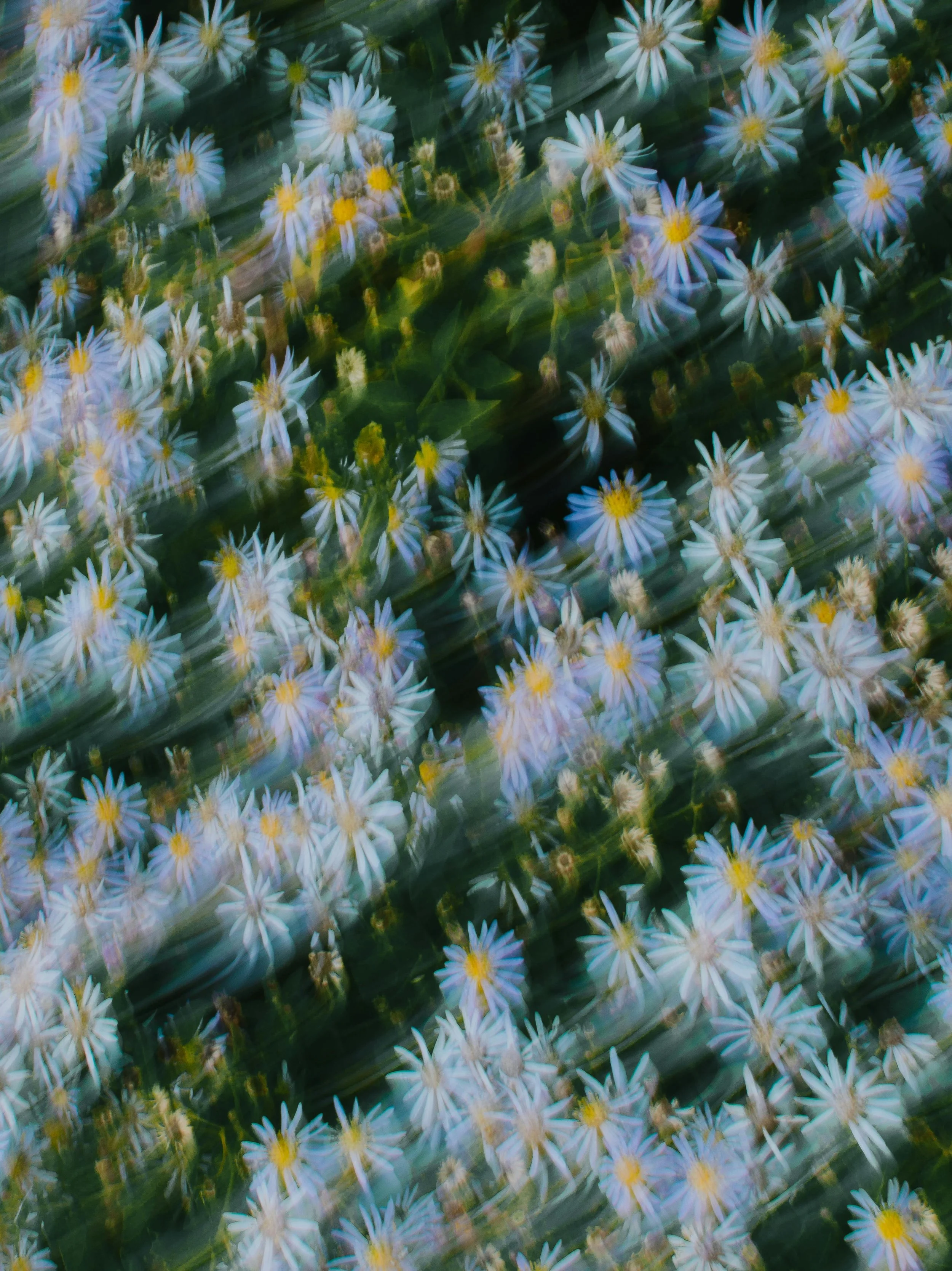 Here's what I'm noticing in the small biz world right now