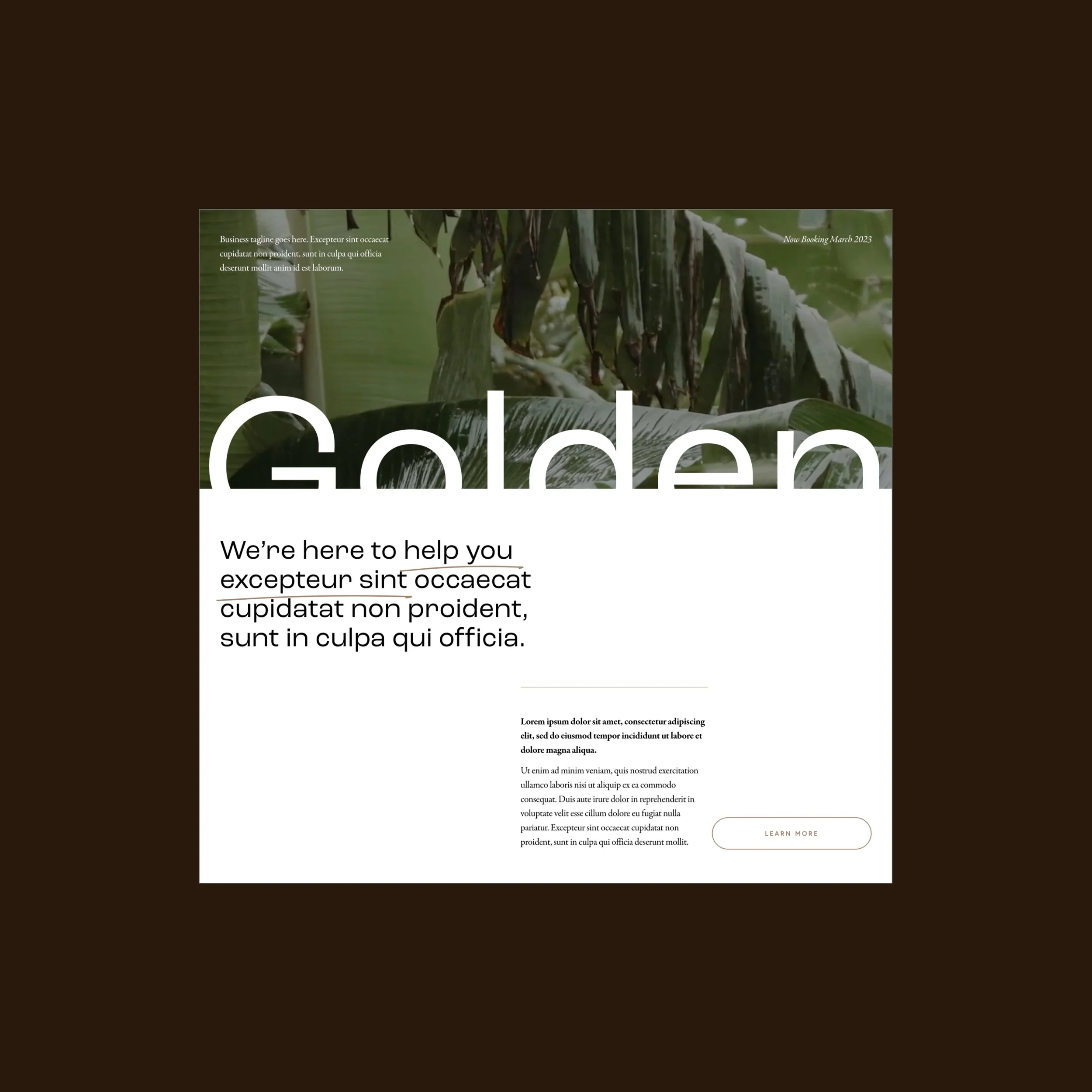 processed_Artboard – 45.jpeg