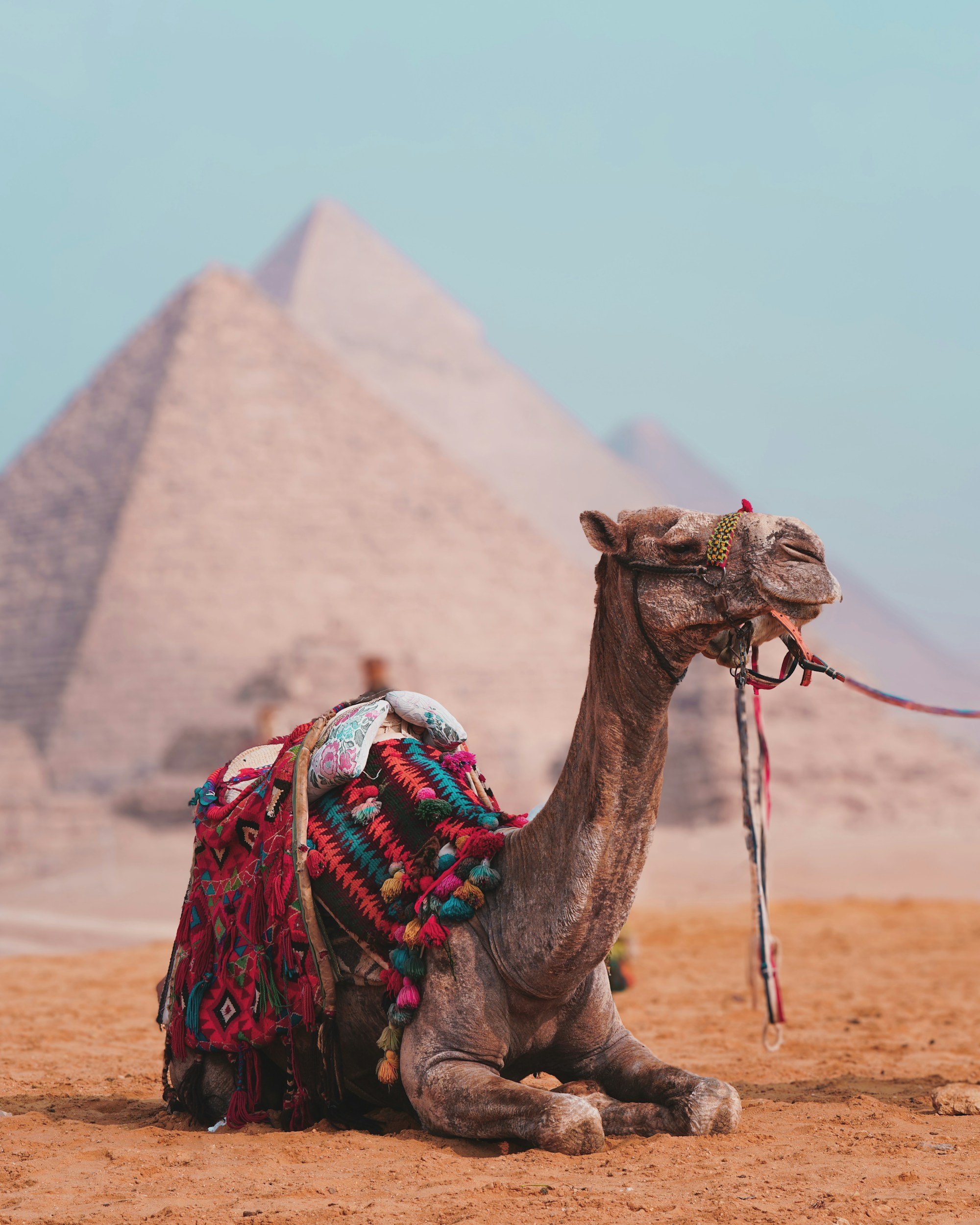 unsplash-image-aWx7N6qpZbM.jpg