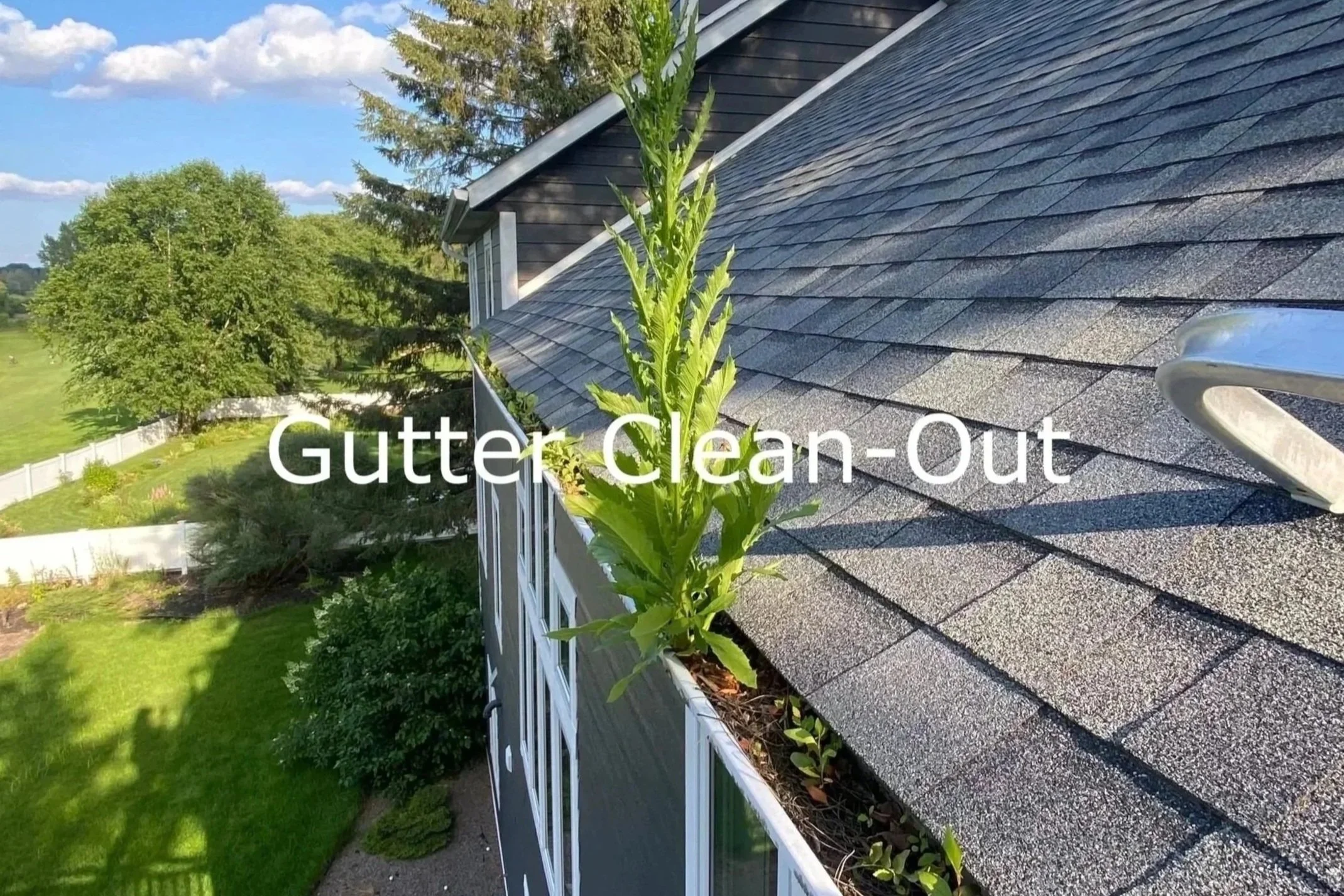Gutter Clean-Out