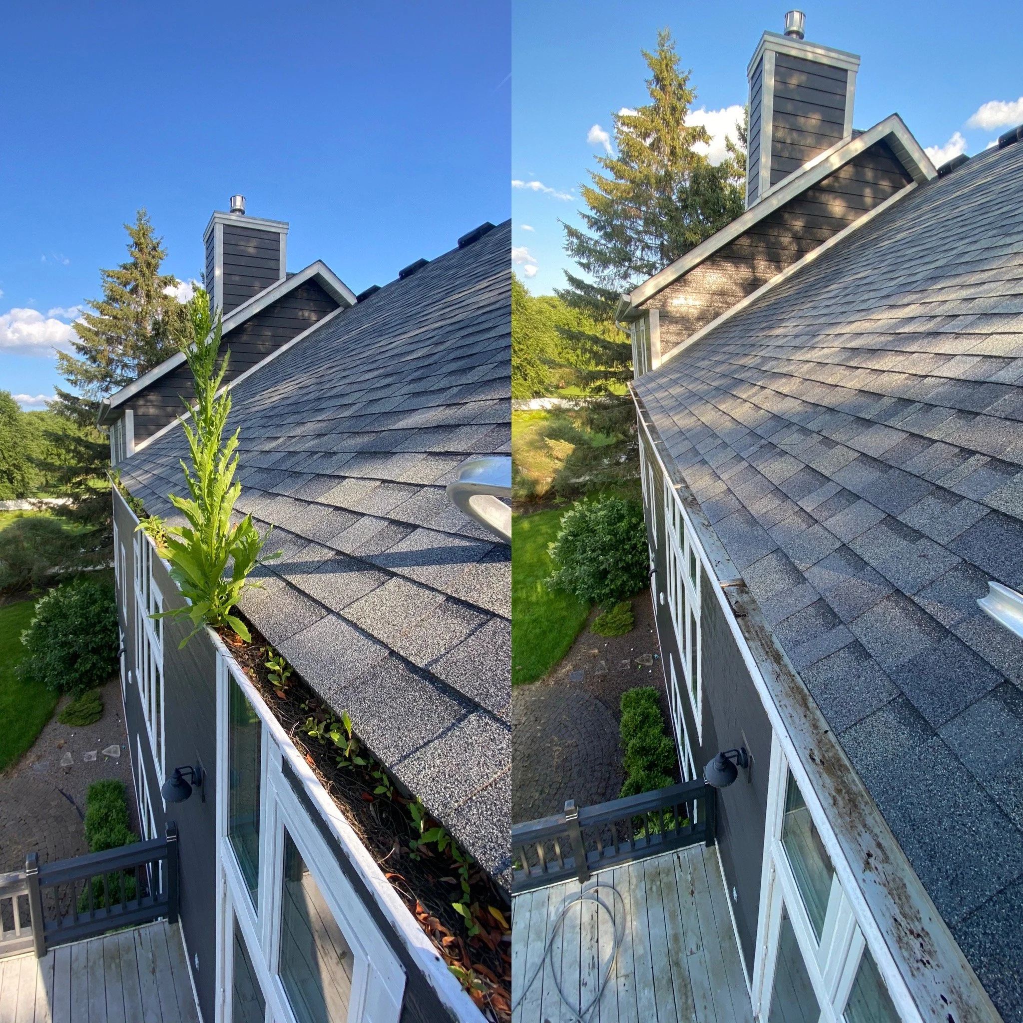 B71F2EF3-E7A9-4263-AD7E-A2392E402CD6.JPG
