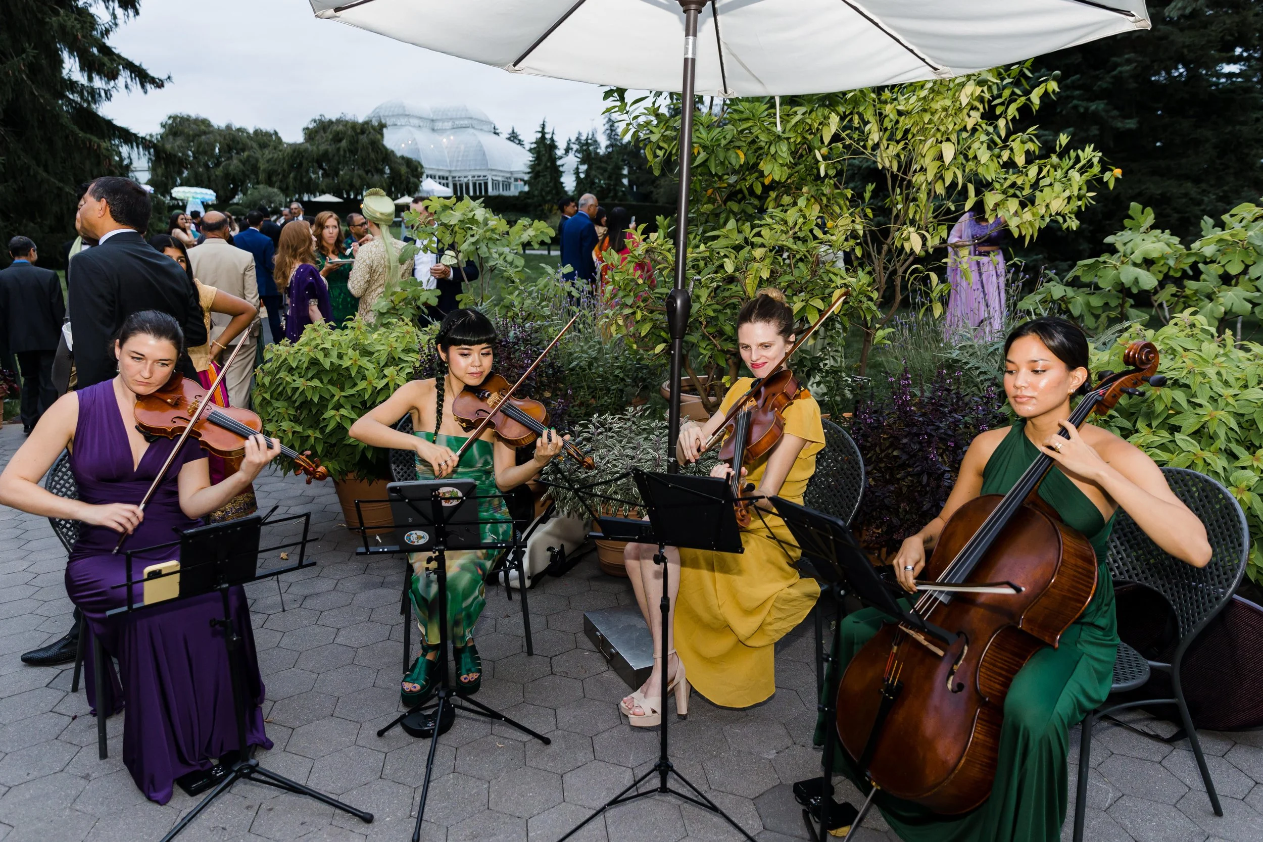 Hiring Wedding Musicians in Washington, DC: What to Know Before You Book