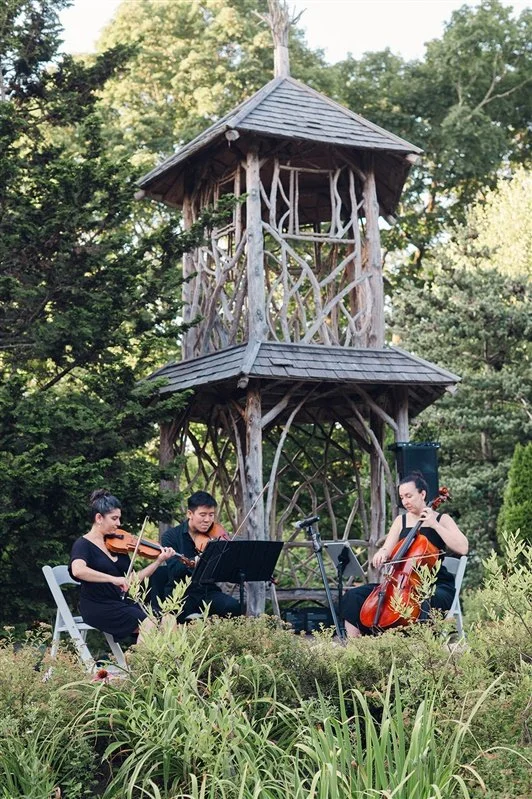 Wedding musicians performing at an Orange County wedding