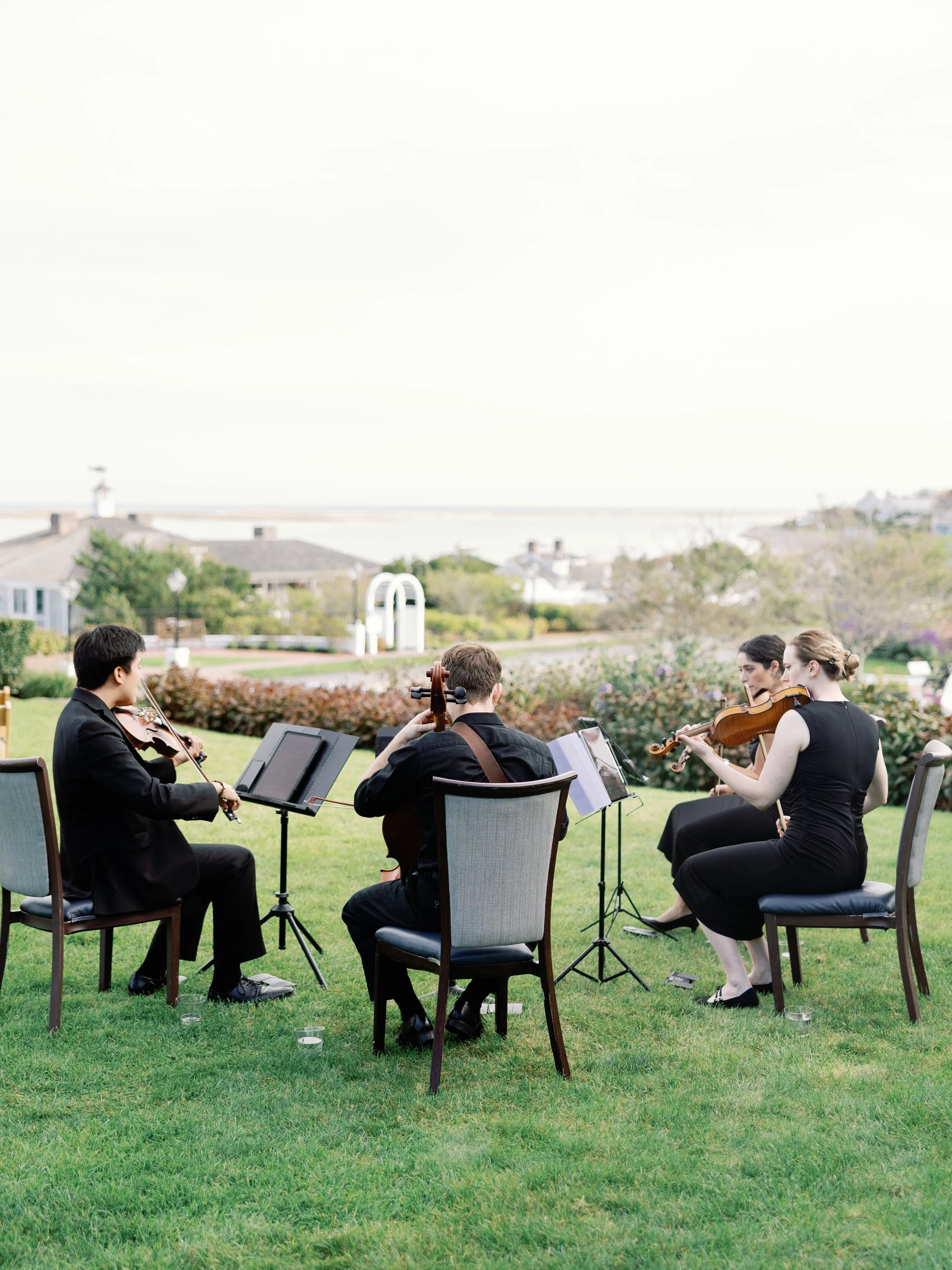 Wedding musicians