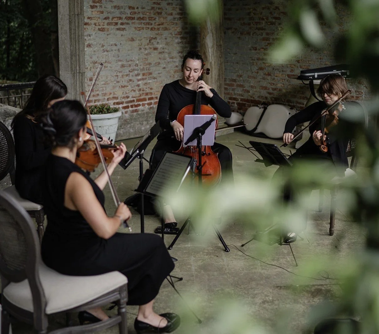 Wedding string quartet