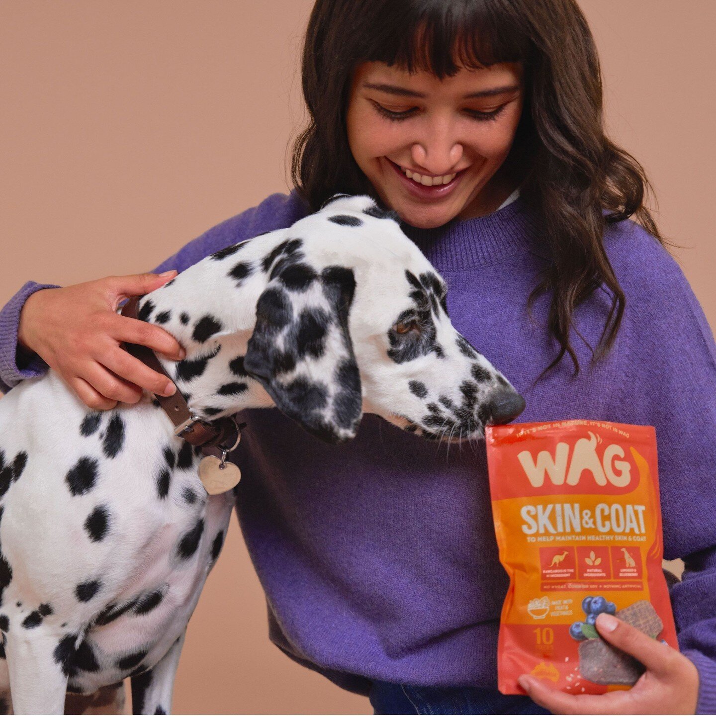 Wag FUN-ctional treats