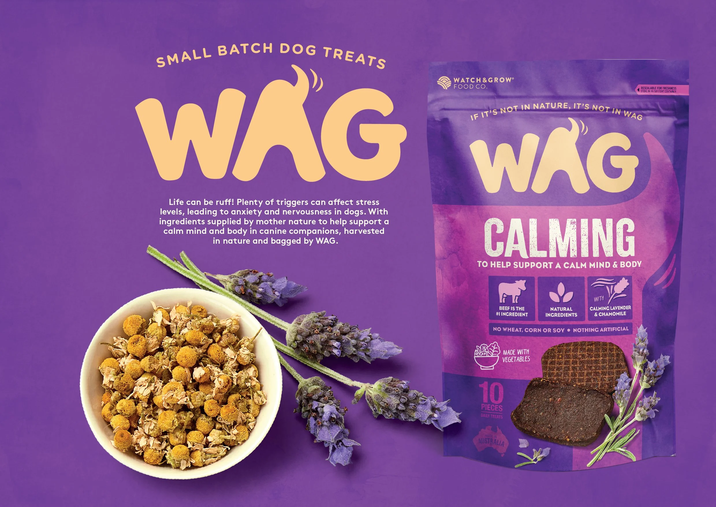 WAG Functional range Visuals-05.jpg
