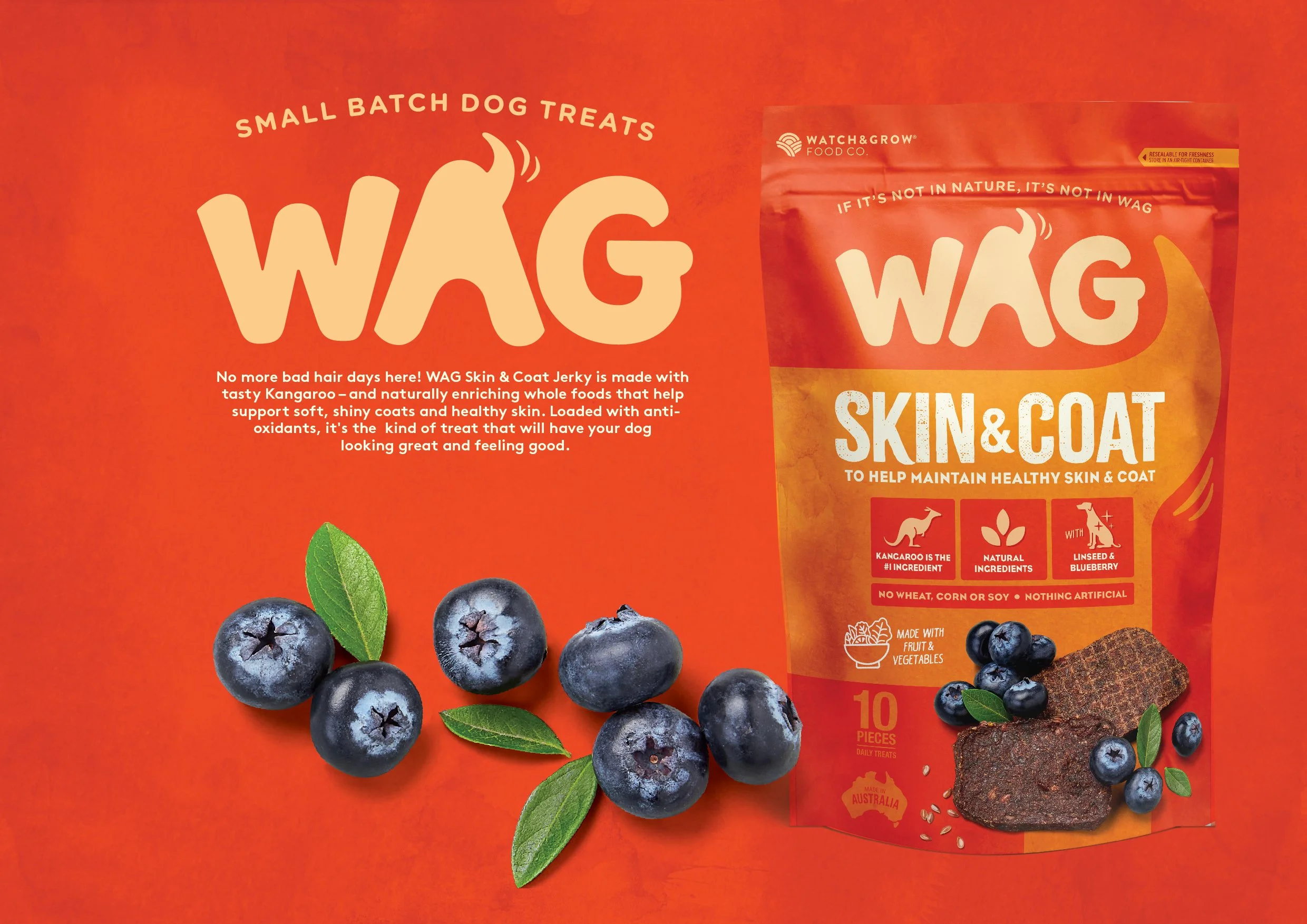 WAG Functional range Visuals-14.jpg