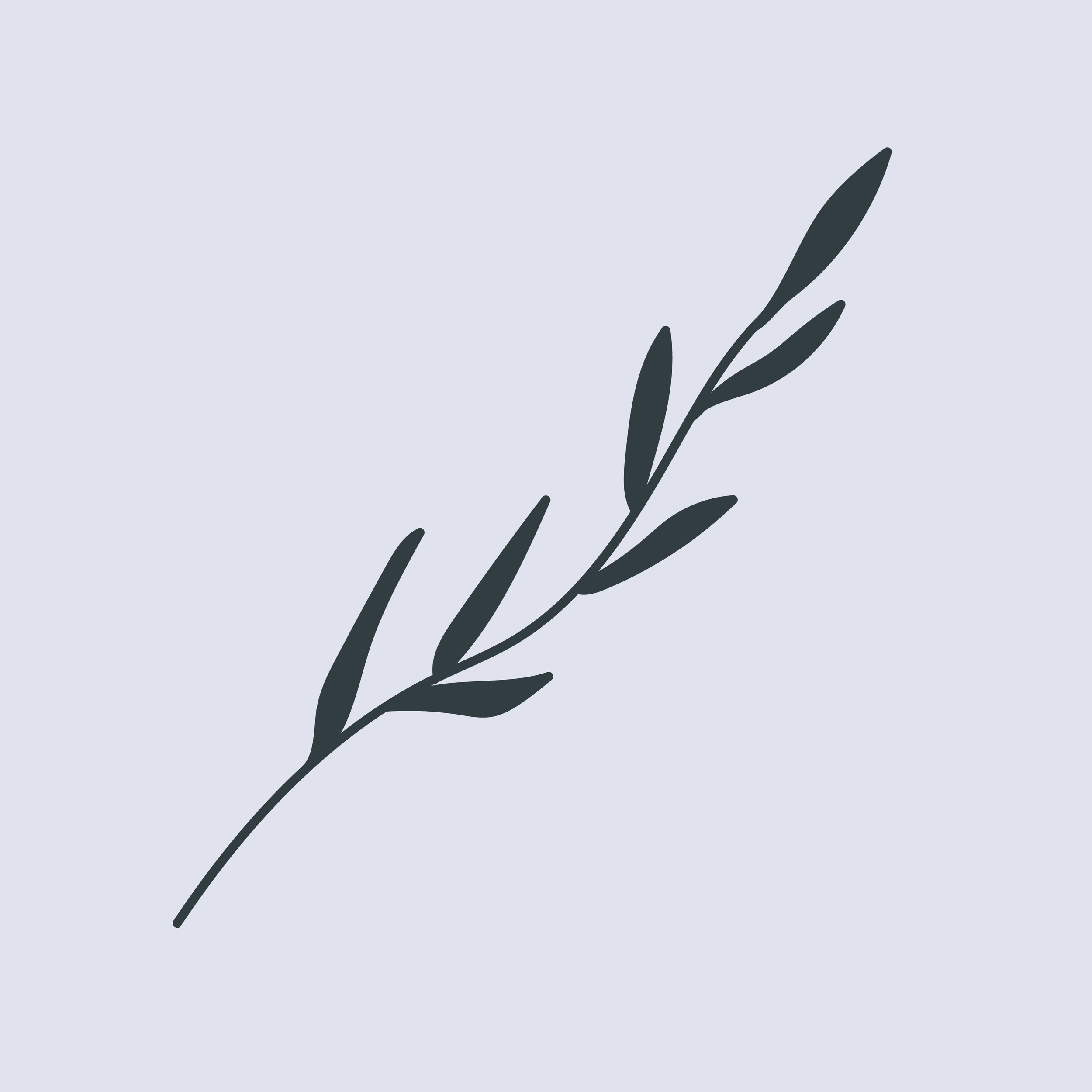 Plant Square 2.png