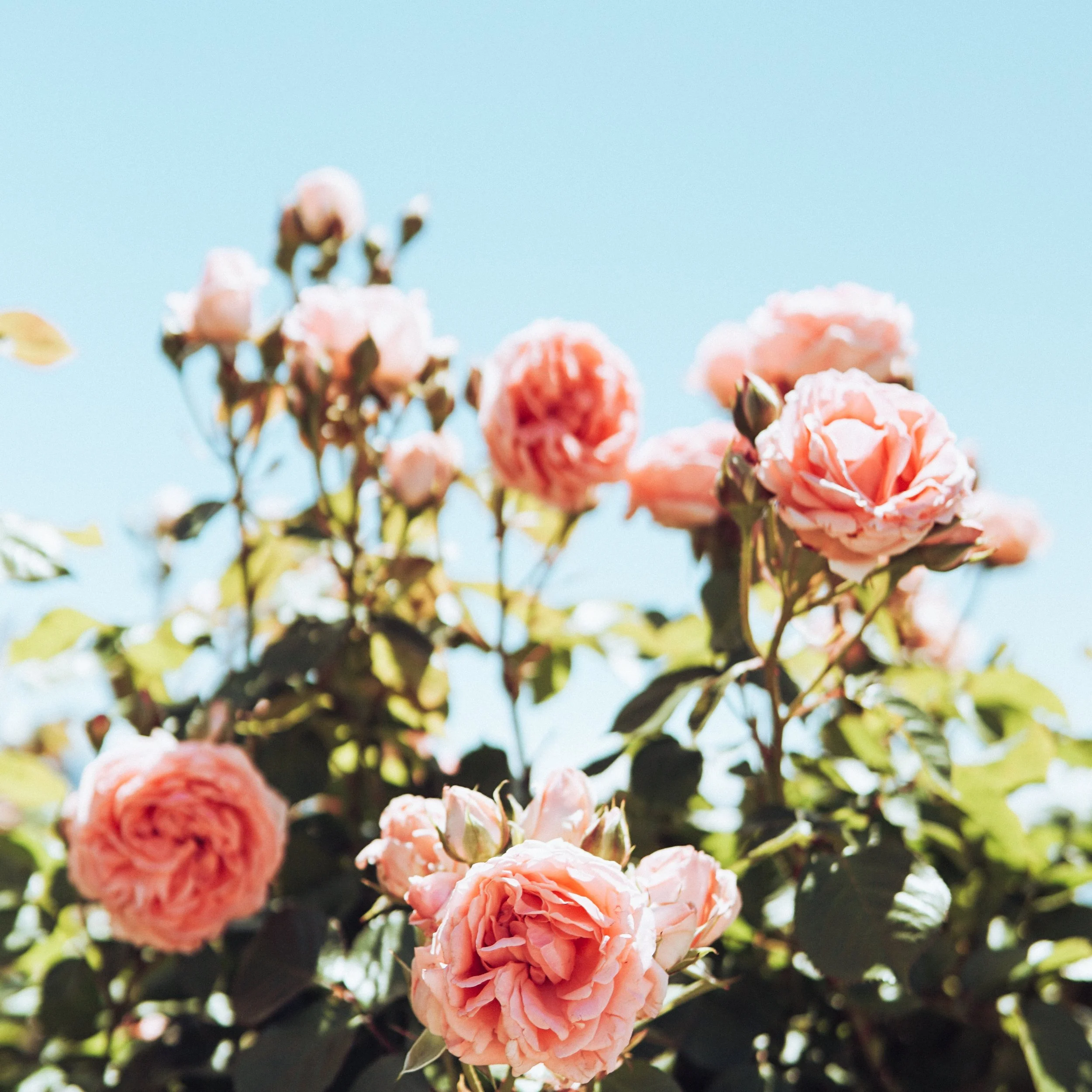 Perfect Match Collection