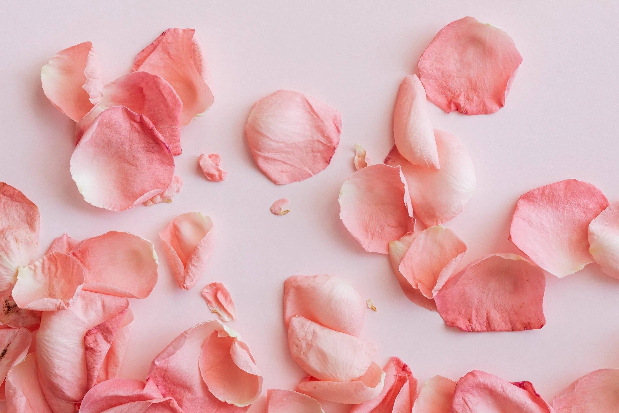 To Have &amp; To Hold Collection