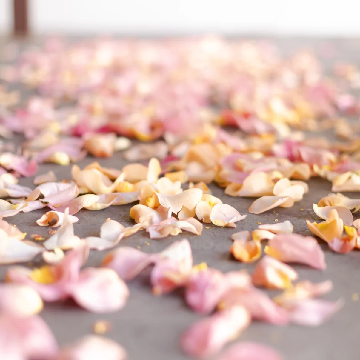   FLOWER GIRL PETALS: $25  