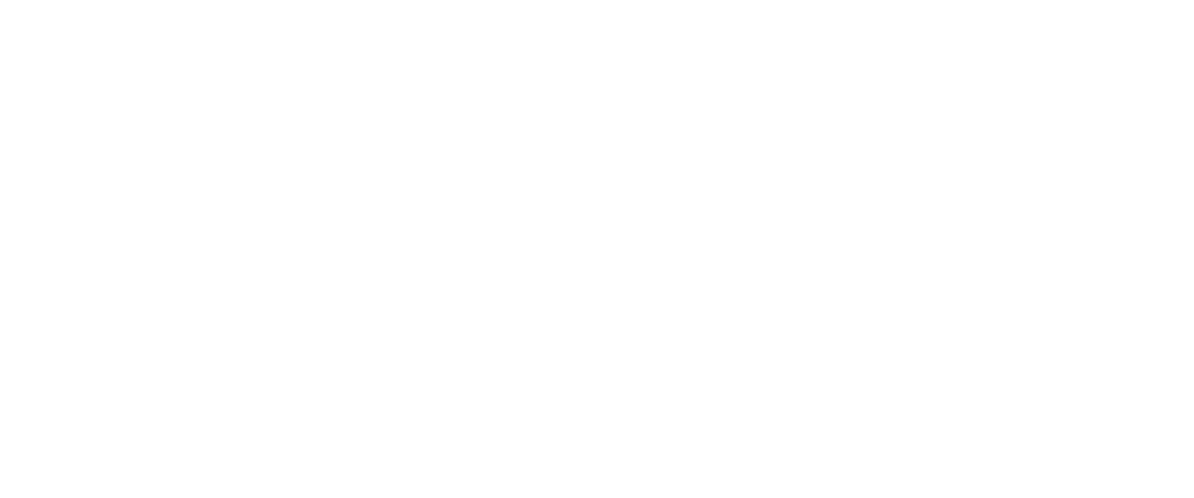 festifilm
