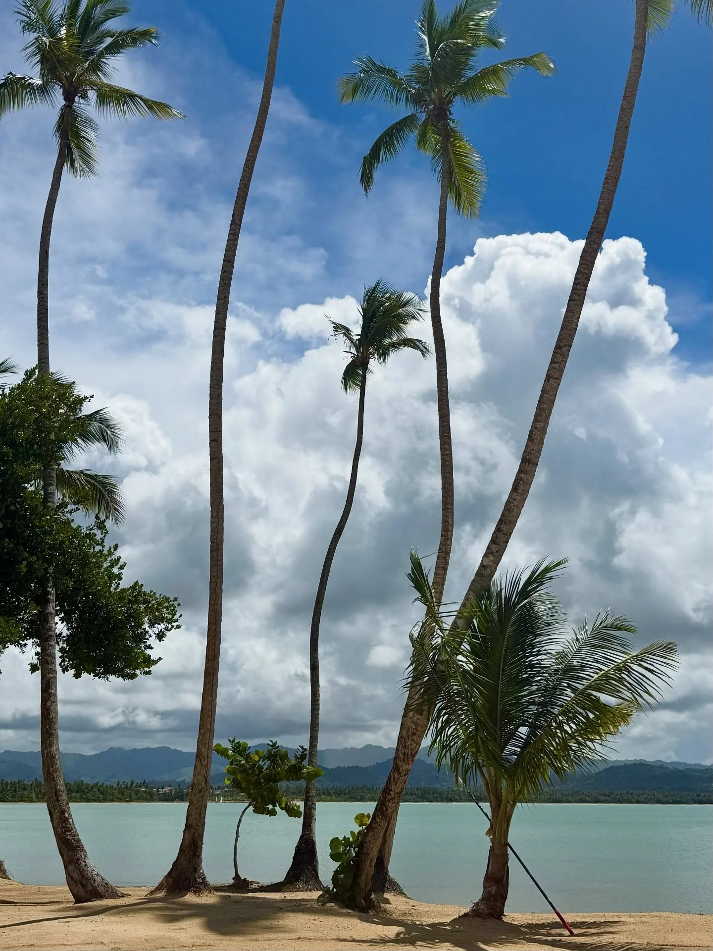 🌴 Why Punta Cana should be your next luxury escape 🌴 
 
I just explored six of Punta Cana’s most exclusive resorts and met with a representative from the Dominican Republic’s tourism board. Here’s why this welcoming