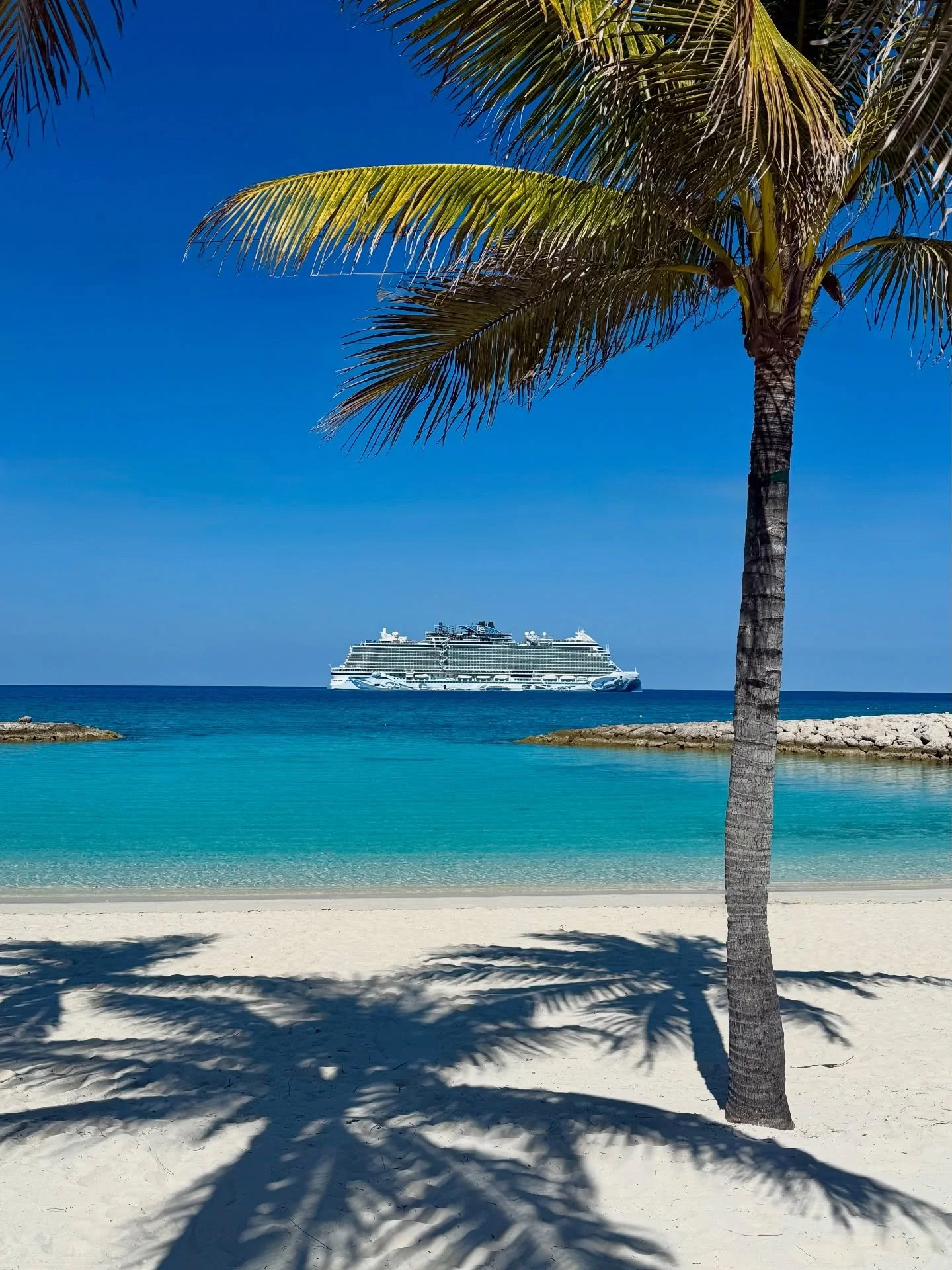 I just returned from a fantastic Thanksgiving week cruise with my family! 🚢 We spent seven nights on the Norwegian Prima, a beautiful ship, where we experienced the luxurious Haven. The Haven is a &ldquo;ship within a ship&rdquo; concept for suite g