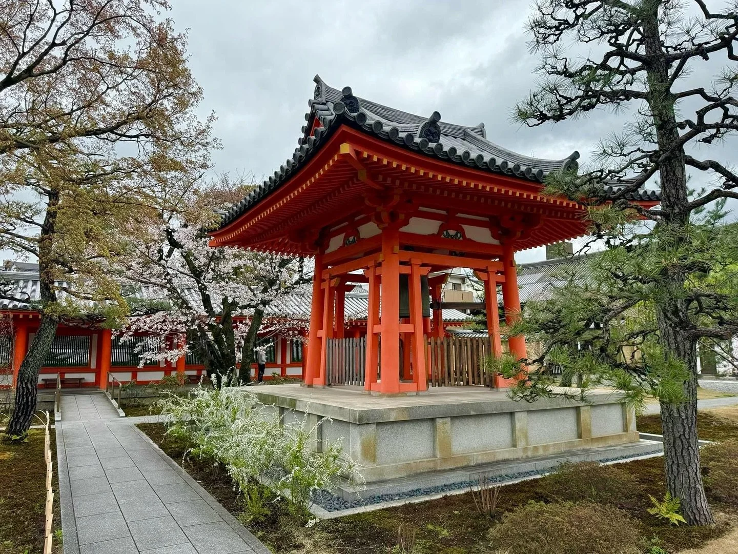 Which should you trust more: a travel advisor or an algorithm? 🤔 Algorithmic and AI options provide numerous travel options based on data analysis and user inputs, offering efficiency and breadth. Human travel advisors personalize travel experiences