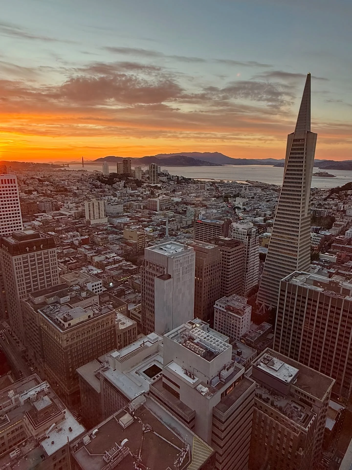 My family had a fantastic time in California last week for spring break! We explored San Francisco, Muir Woods, the Monterey Peninsula, and Big Sur. The neighborhoods of San Francisco absolutely charmed us, the redwoods of Muir Woods enchanted us, an