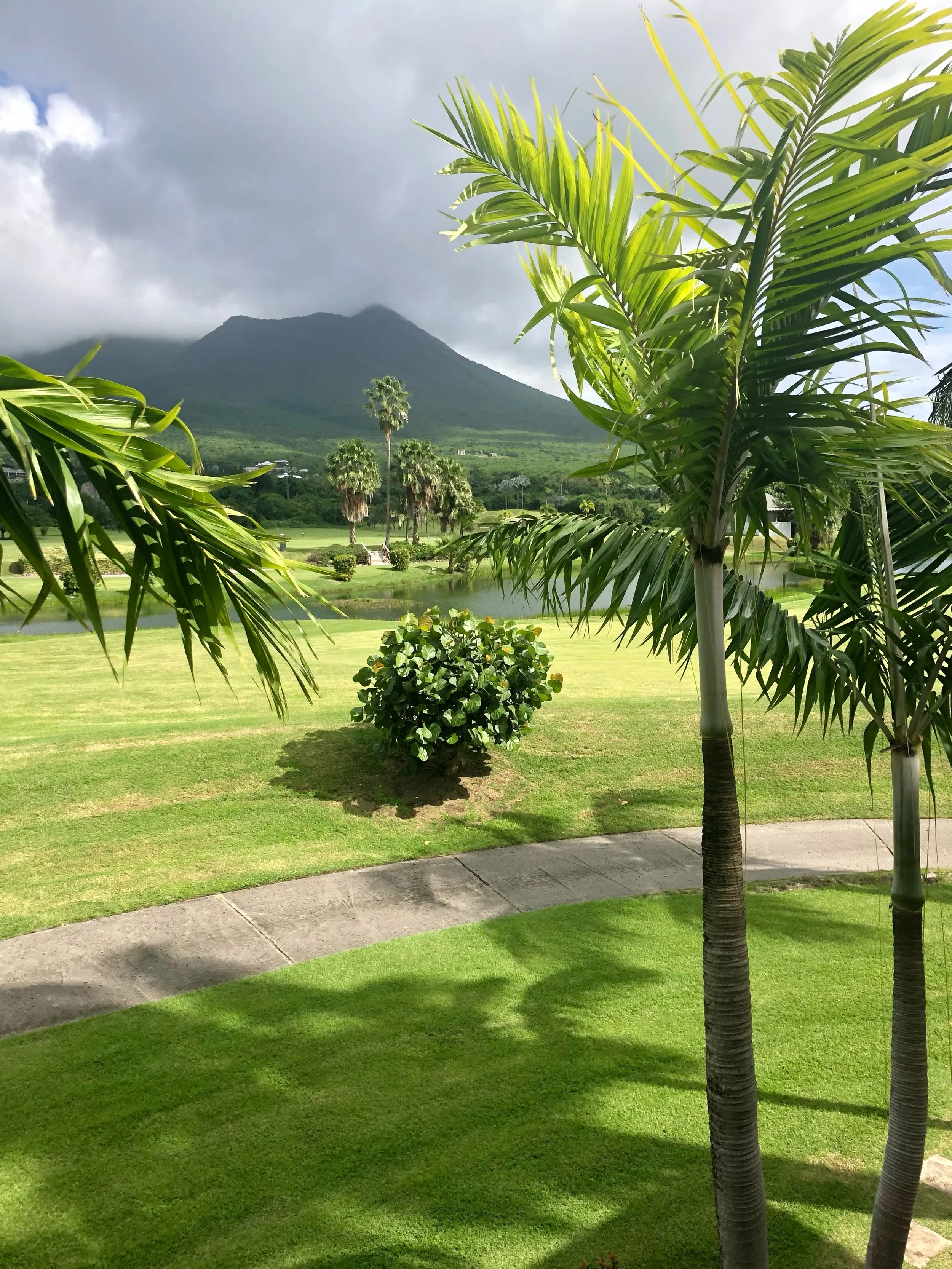 Uncertain times mean you need a travel advisor...Turning on the news can be overwhelming, and sometimes you wonder what reality is, especially when it comes to travel. That&rsquo;s when you need to contact a travel advisor. Travel advisors have on-th