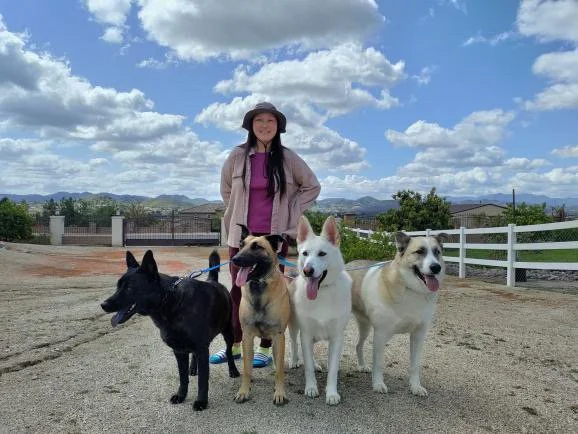 Kevin (fka Hudson)- Rescued from Riverside Animal Services on October 25th, 2023. 
Sitka- Rescued from Riverside Animal Services on November 7th, 2023.
Both pups were adopted together by their fosters on January 29th, 2024