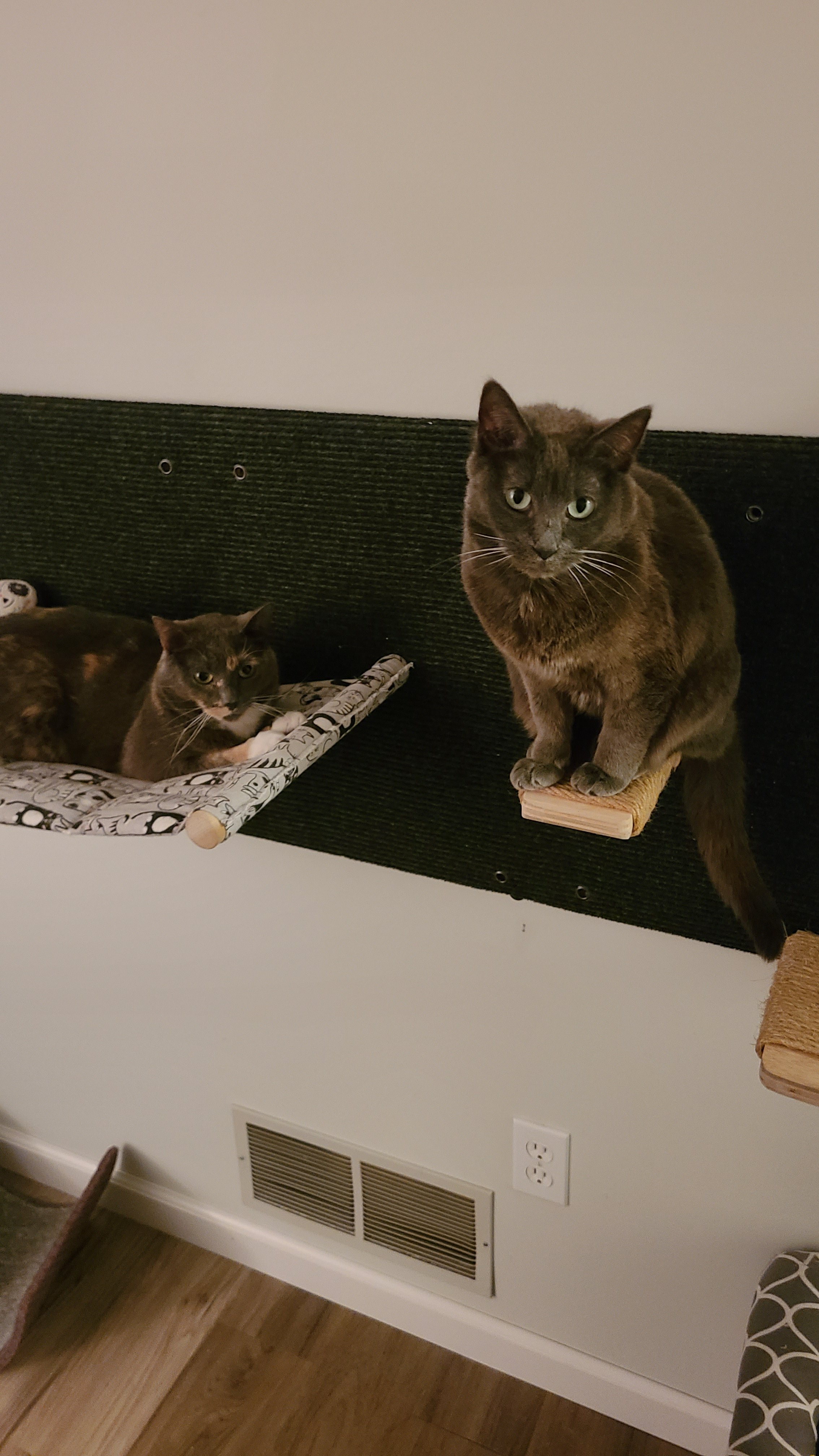 Cora&Kashi(2).jpg