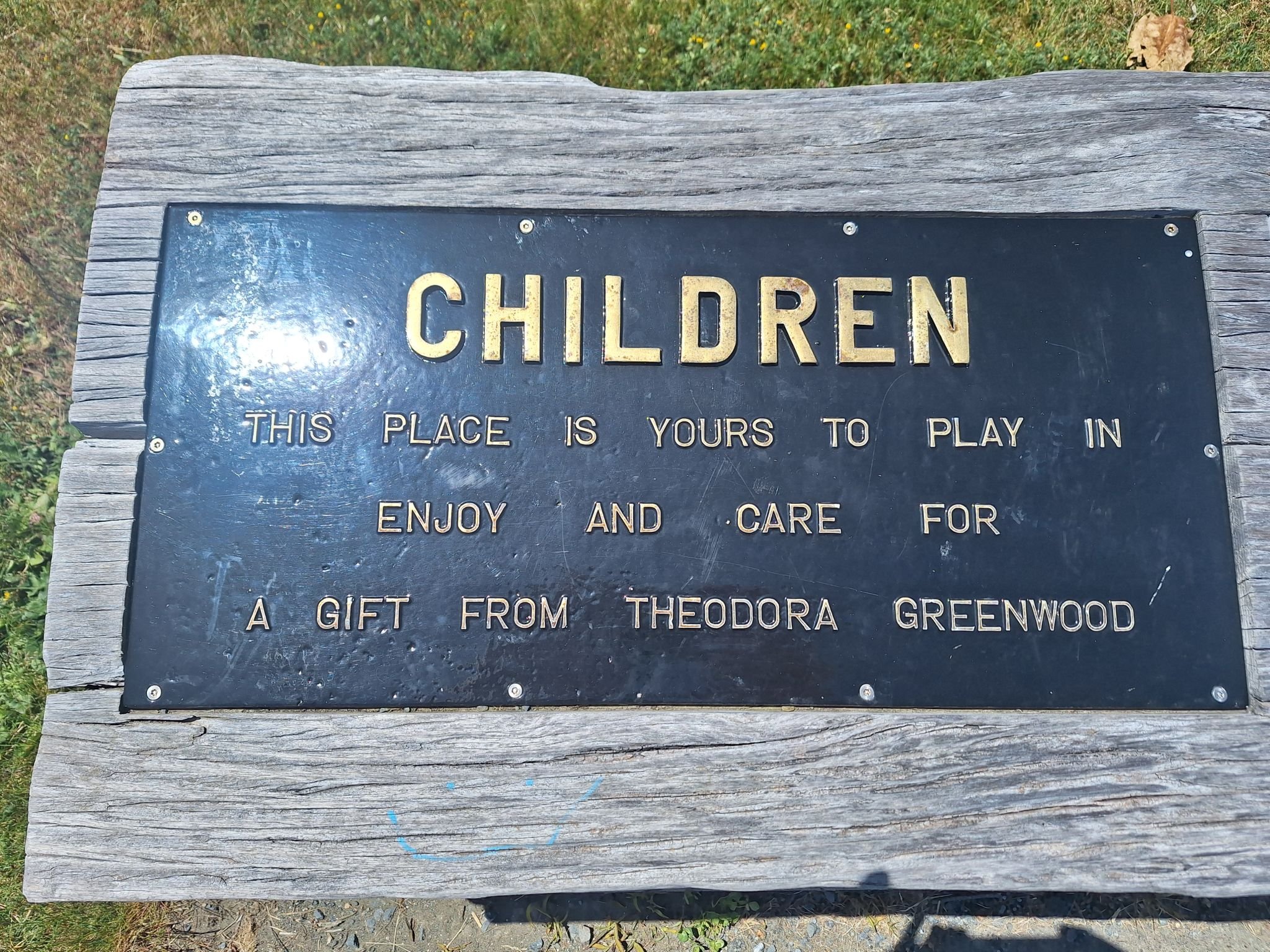 Dora Greenwood: A Pioneer for Play