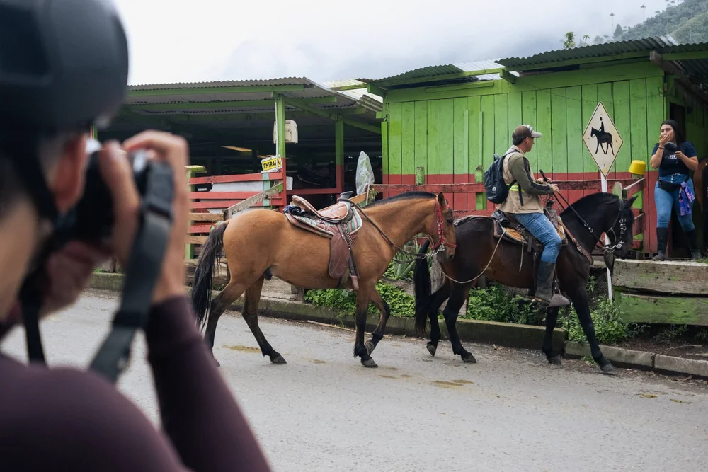 Cocora Valley, cycling the coffee region