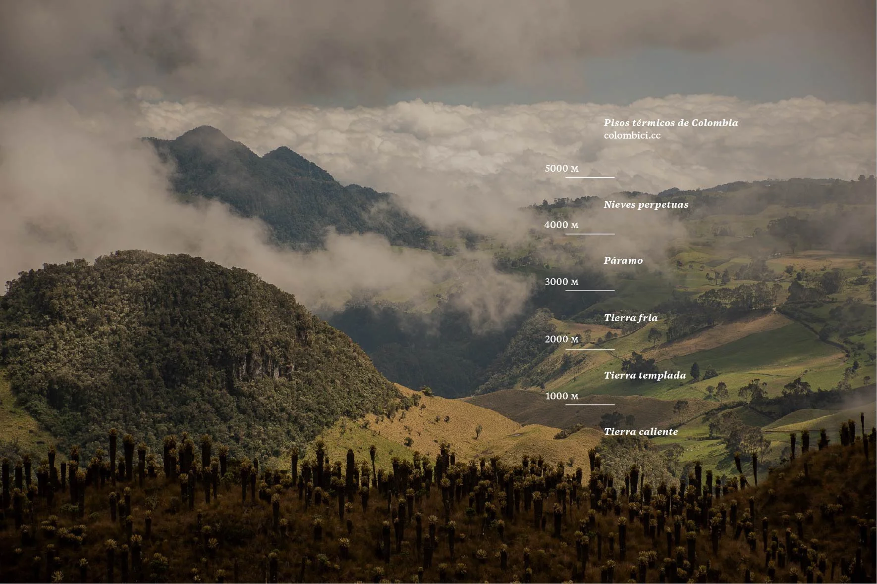 Picos Termicos of Colombia