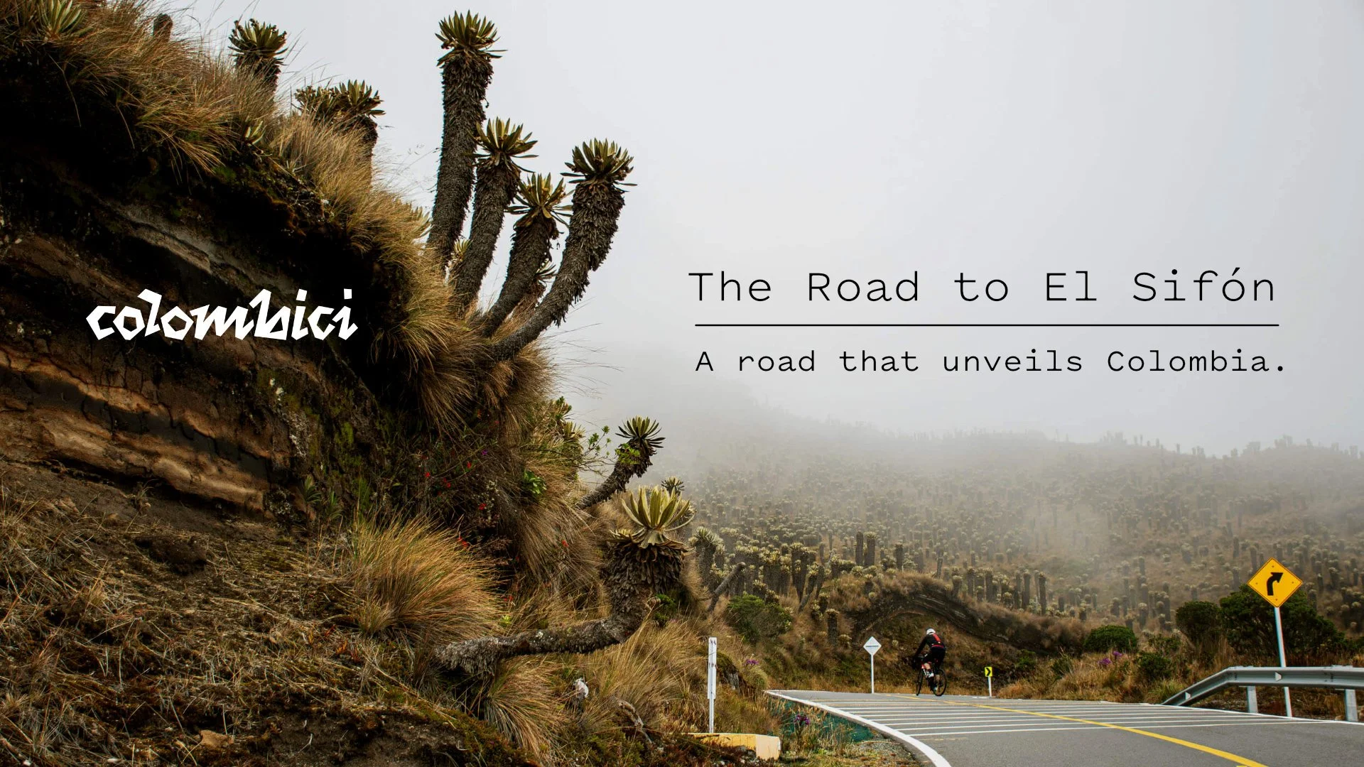 The Road to El Sifón: A Road That Unveils a Nation