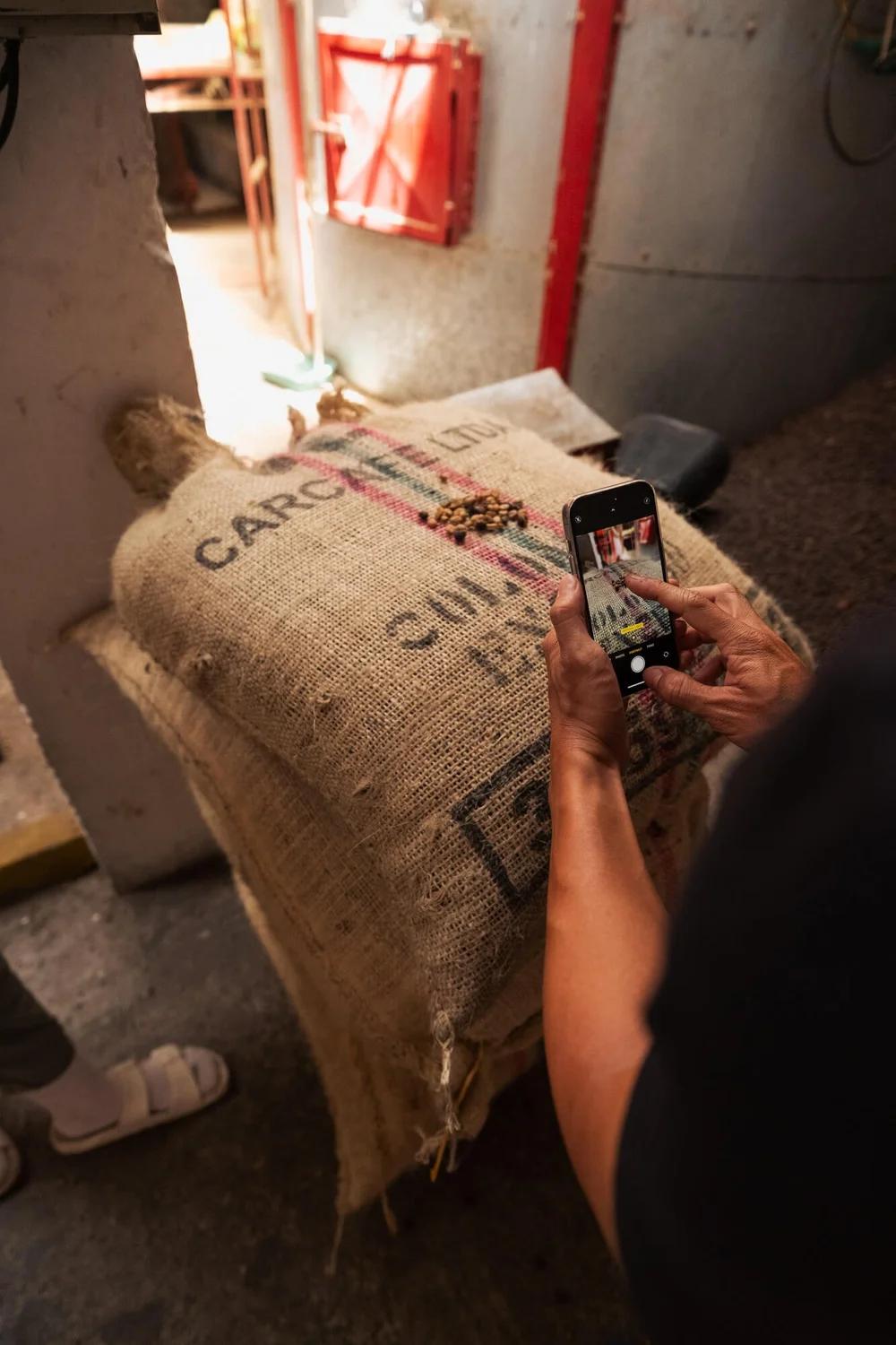 Into Coffee Heartlands 19