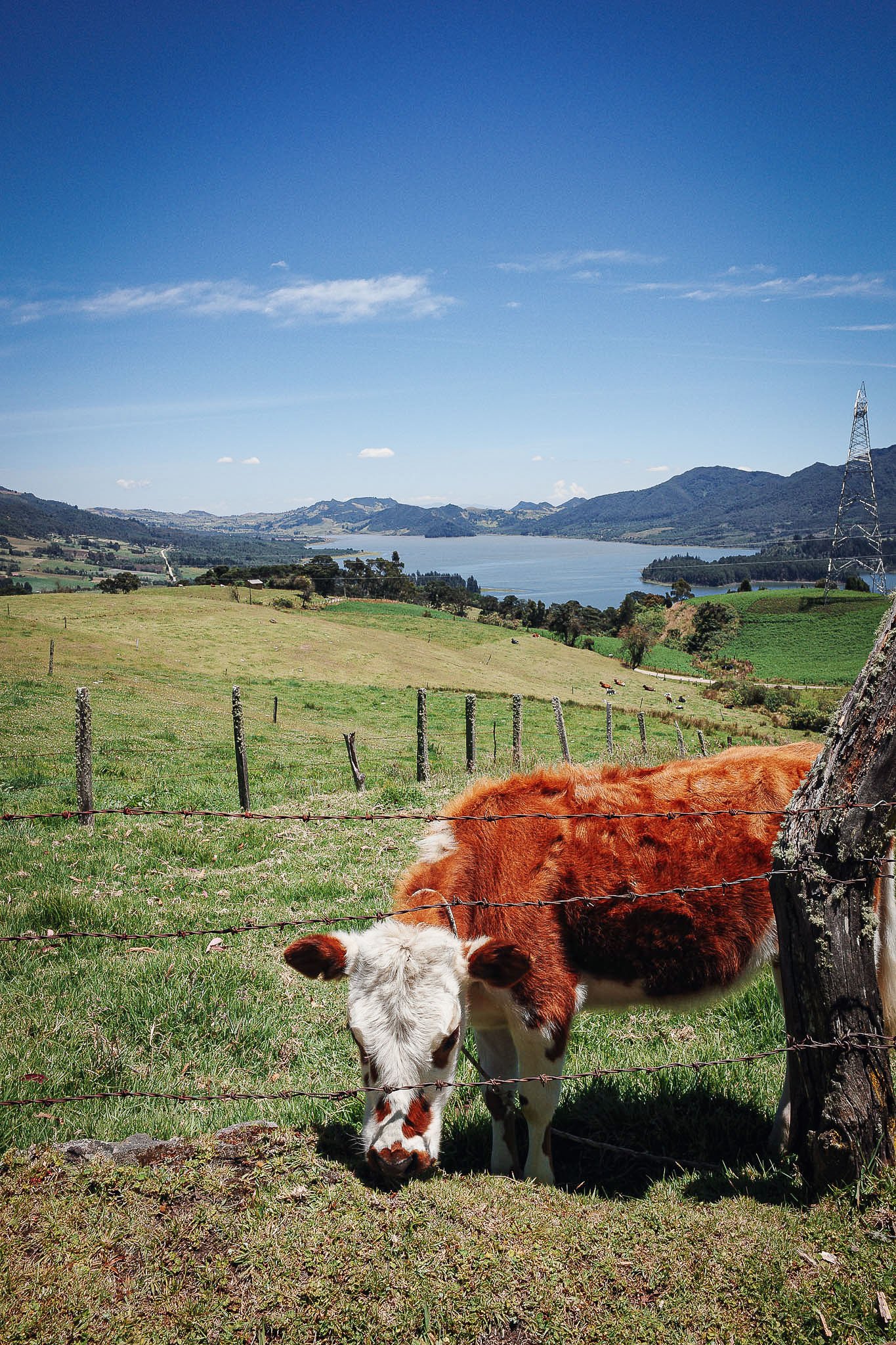 Unseen Savanah: Bogotá’s underrated backyard