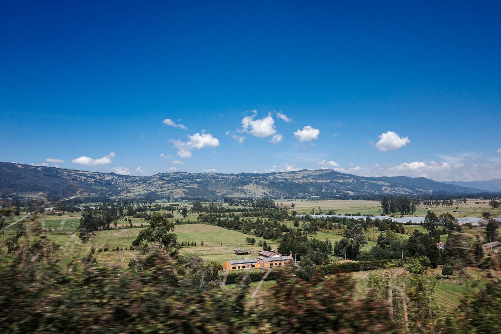 Green fields and rolling hills, Unseen Savannah