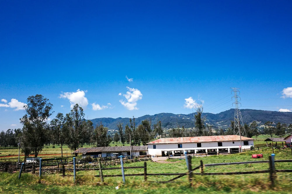Farmland vista