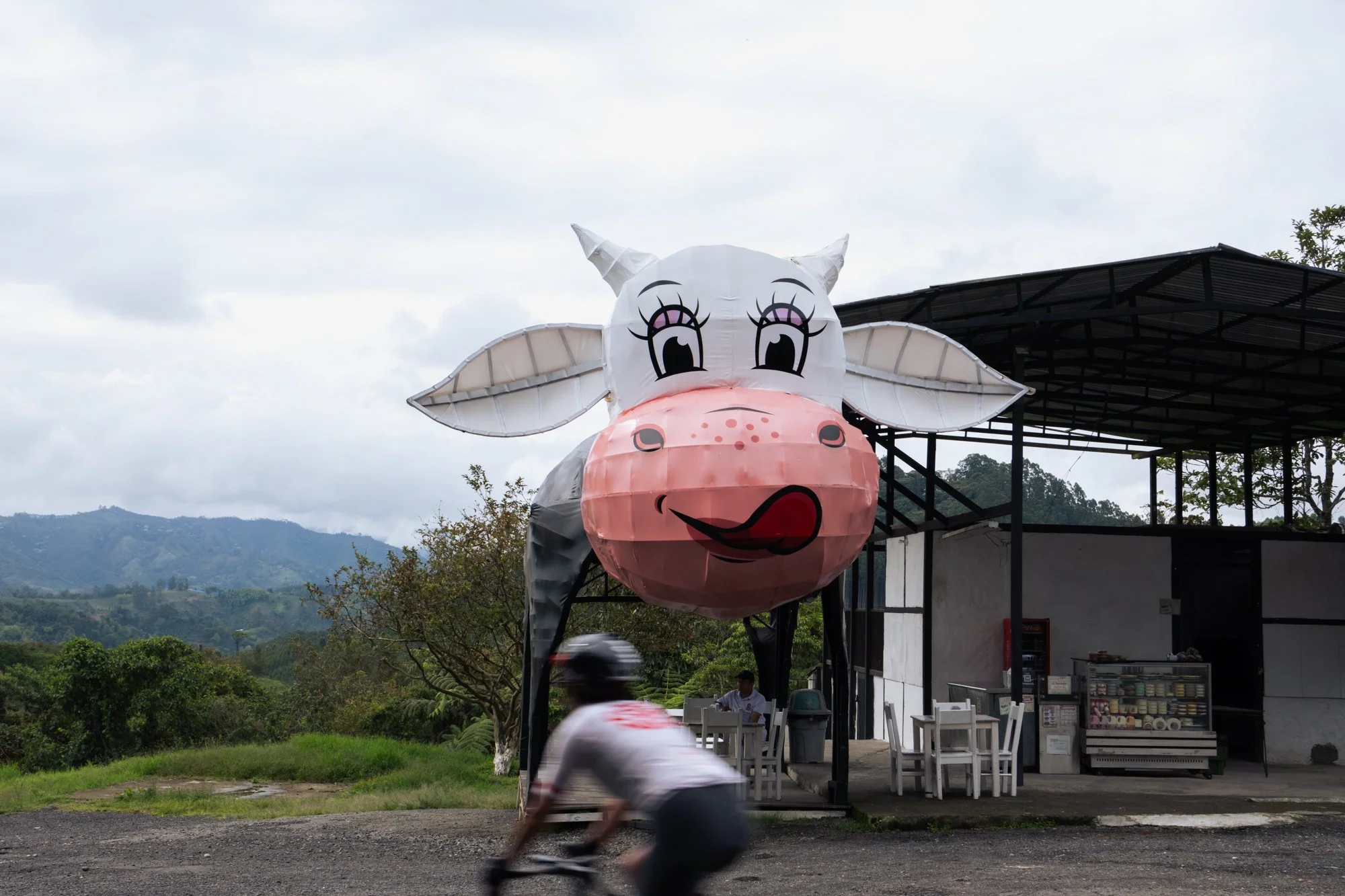 Into Coffee Heartlands